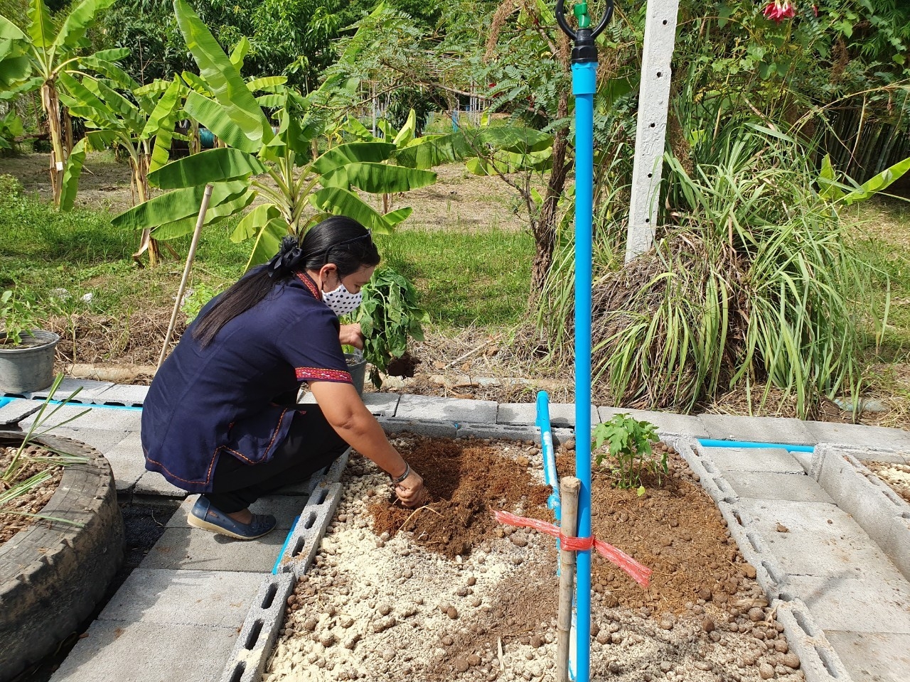 CDD@KAN>>>สตรีกาญจน์ Kick Off โครงการสตรีแบ่งปันรัก ปลูกพืชผักปลอดภัย พร้อมกันทุกพื้นที่