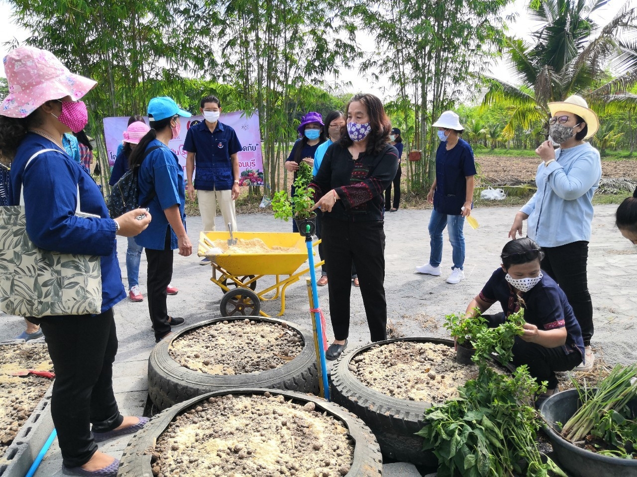 CDD@KAN>>>สตรีกาญจน์ Kick Off โครงการสตรีแบ่งปันรัก ปลูกพืชผักปลอดภัย พร้อมกันทุกพื้นที่