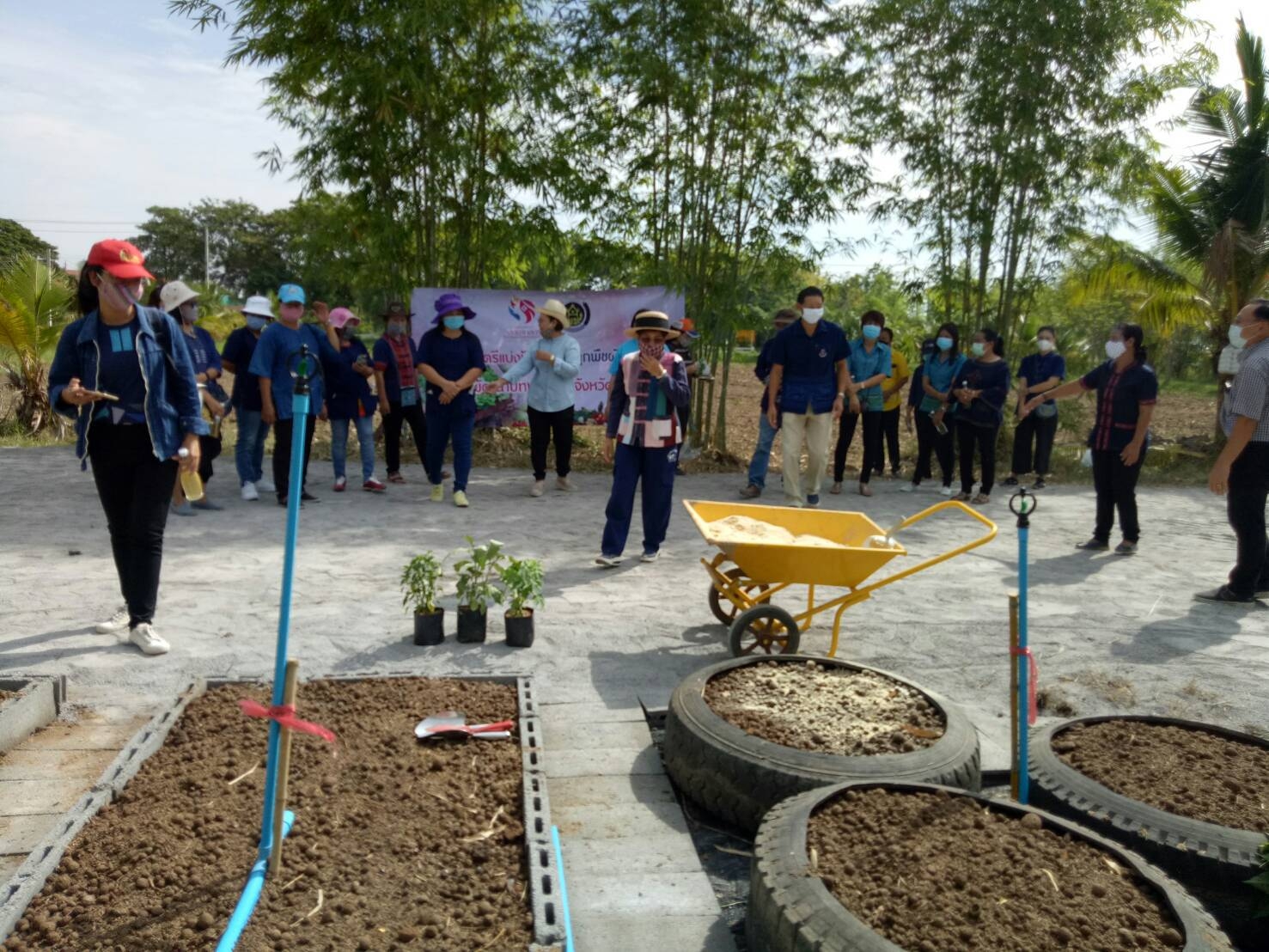 CDD@KAN>>>สตรีกาญจน์ Kick Off โครงการสตรีแบ่งปันรัก ปลูกพืชผักปลอดภัย พร้อมกันทุกพื้นที่