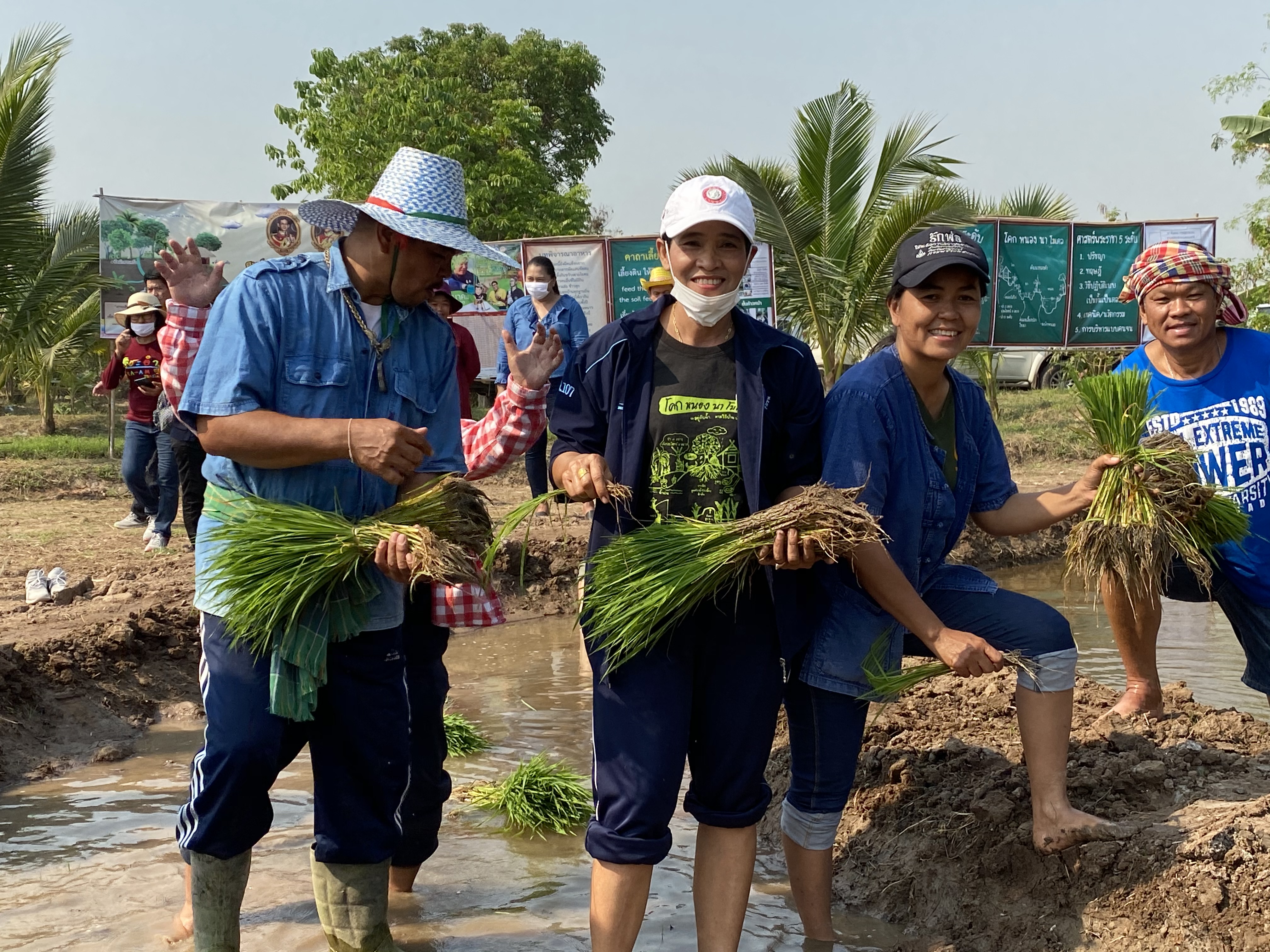 CDD@KAN>>>พัฒนาชุมชนกาญจนบุรี จัดกิจกรรมเอามื้อสามัคคี โคก หนอง นา  “หิ้วปิ่นโตไปเอามื้อ ถือจอบเสียม ไปพลิกฟื้นแผ่นดิน”