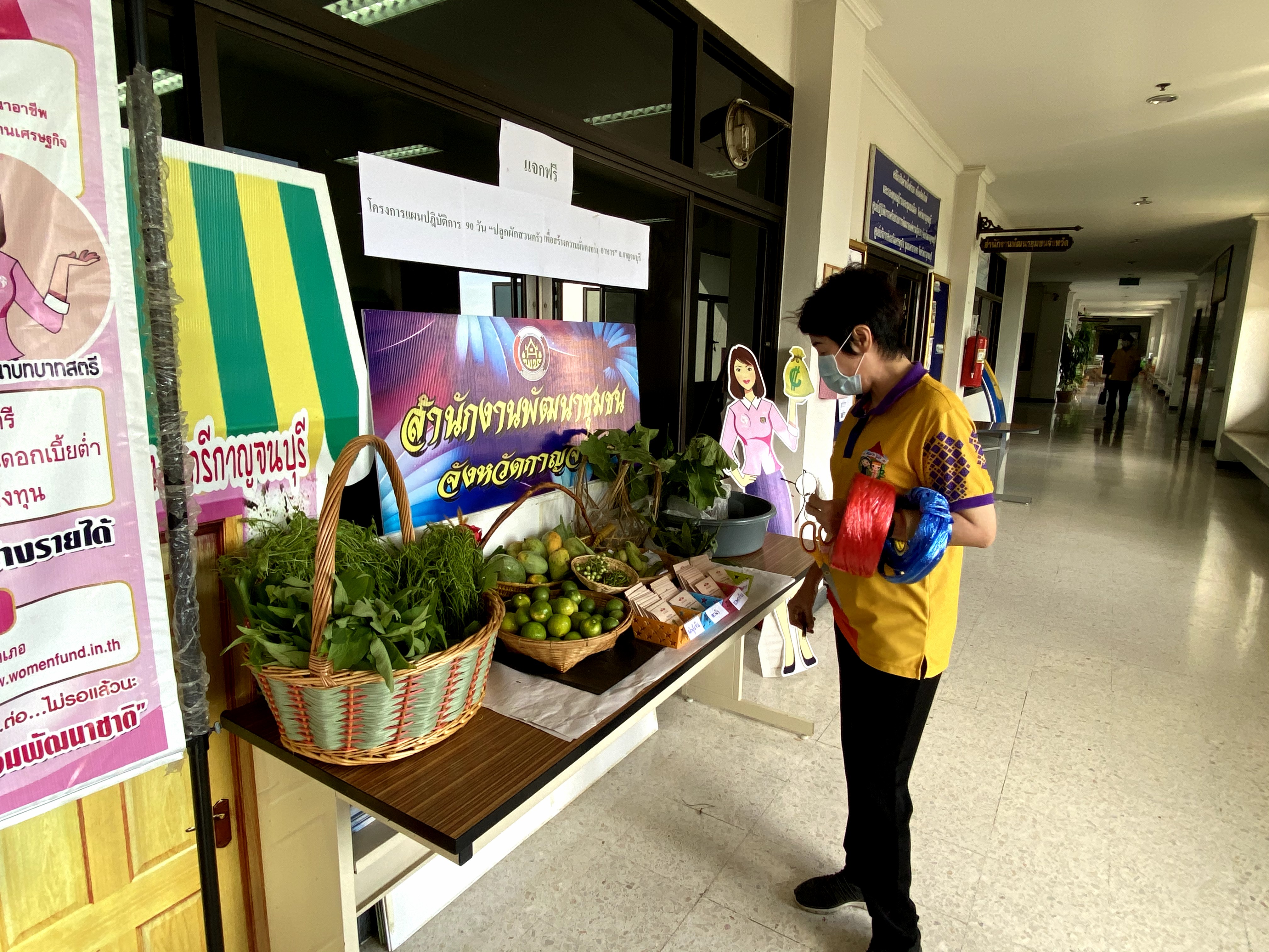 CDD@KAN>>>พัฒนาชุมชนกาญจนบุรี Kick off กิจกรรมตลาดนัดปันผัก รักกาญจน์