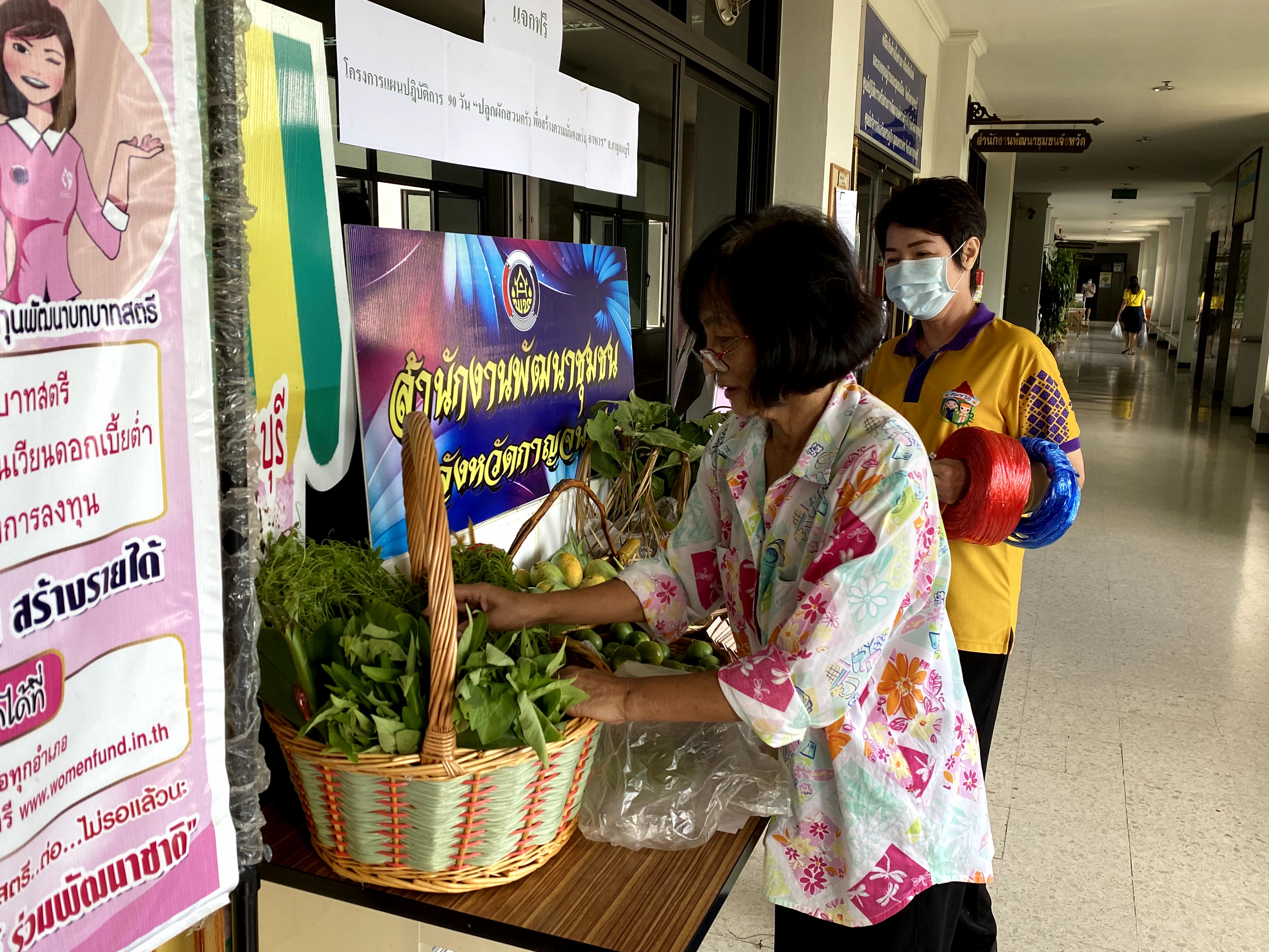 CDD@KAN>>>พัฒนาชุมชนกาญจนบุรี Kick off กิจกรรมตลาดนัดปันผัก รักกาญจน์