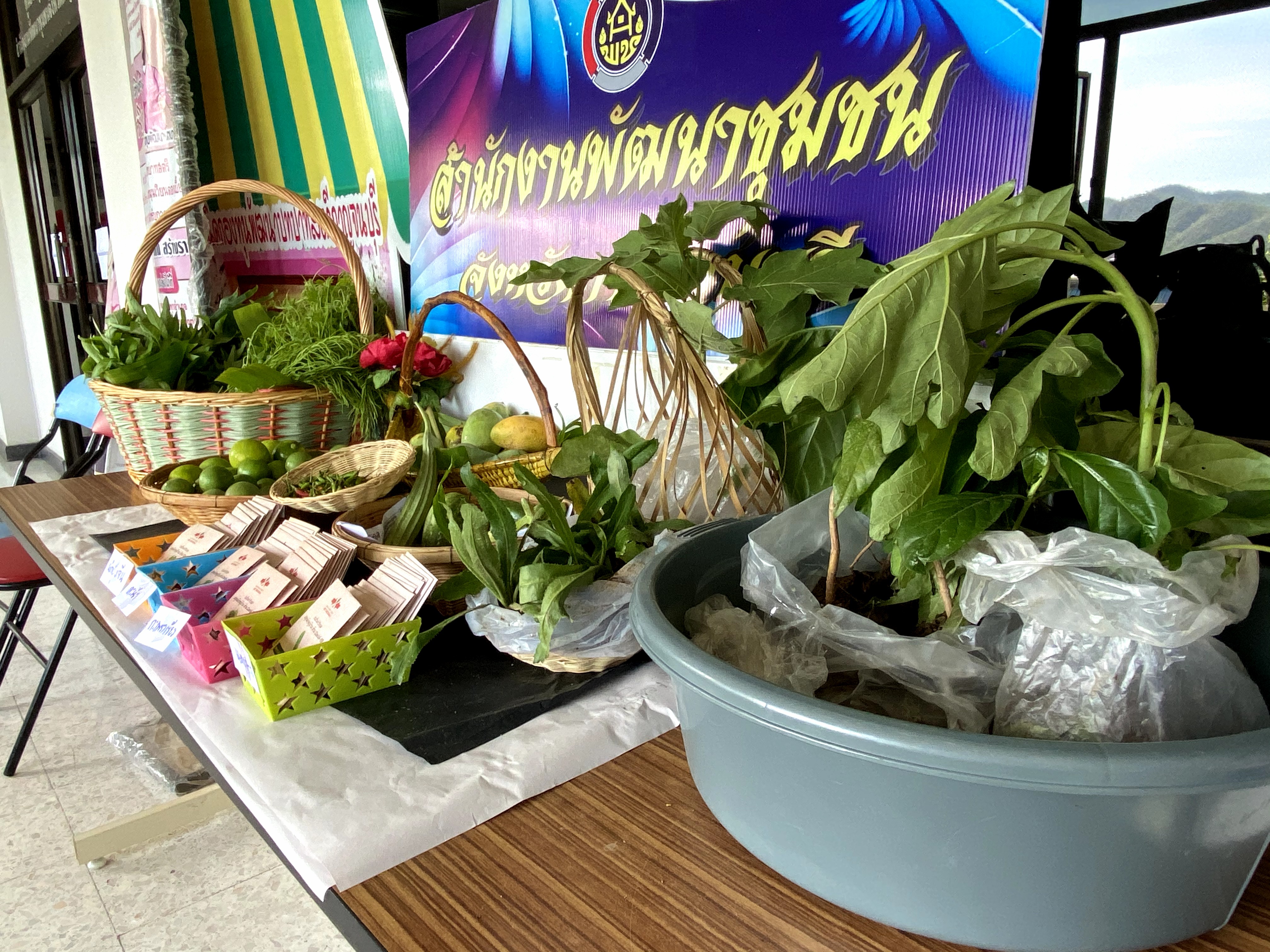 CDD@KAN>>>พัฒนาชุมชนกาญจนบุรี Kick off กิจกรรมตลาดนัดปันผัก รักกาญจน์
