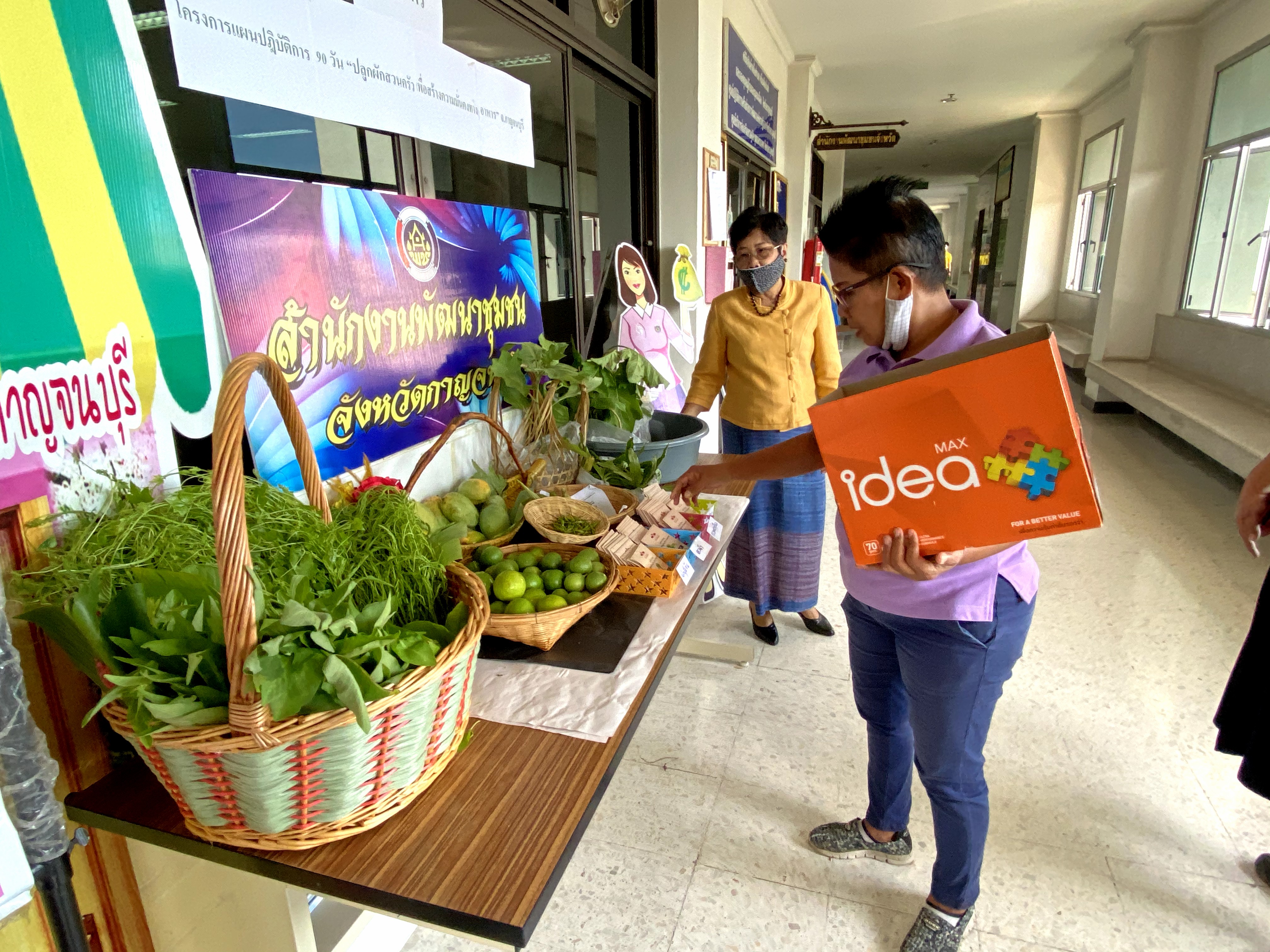 CDD@KAN>>>พัฒนาชุมชนกาญจนบุรี Kick off กิจกรรมตลาดนัดปันผัก รักกาญจน์