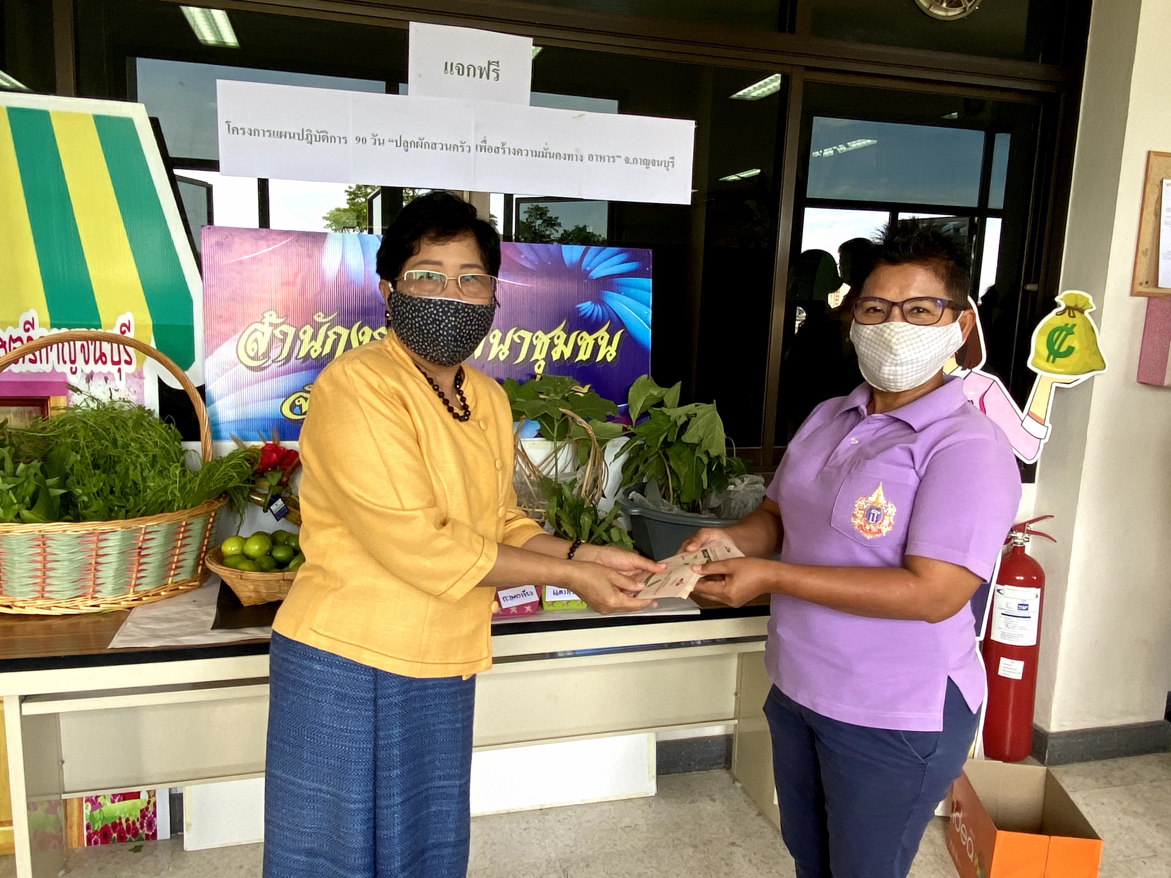 CDD@KAN>>>พัฒนาชุมชนกาญจนบุรี Kick off กิจกรรมตลาดนัดปันผัก รักกาญจน์