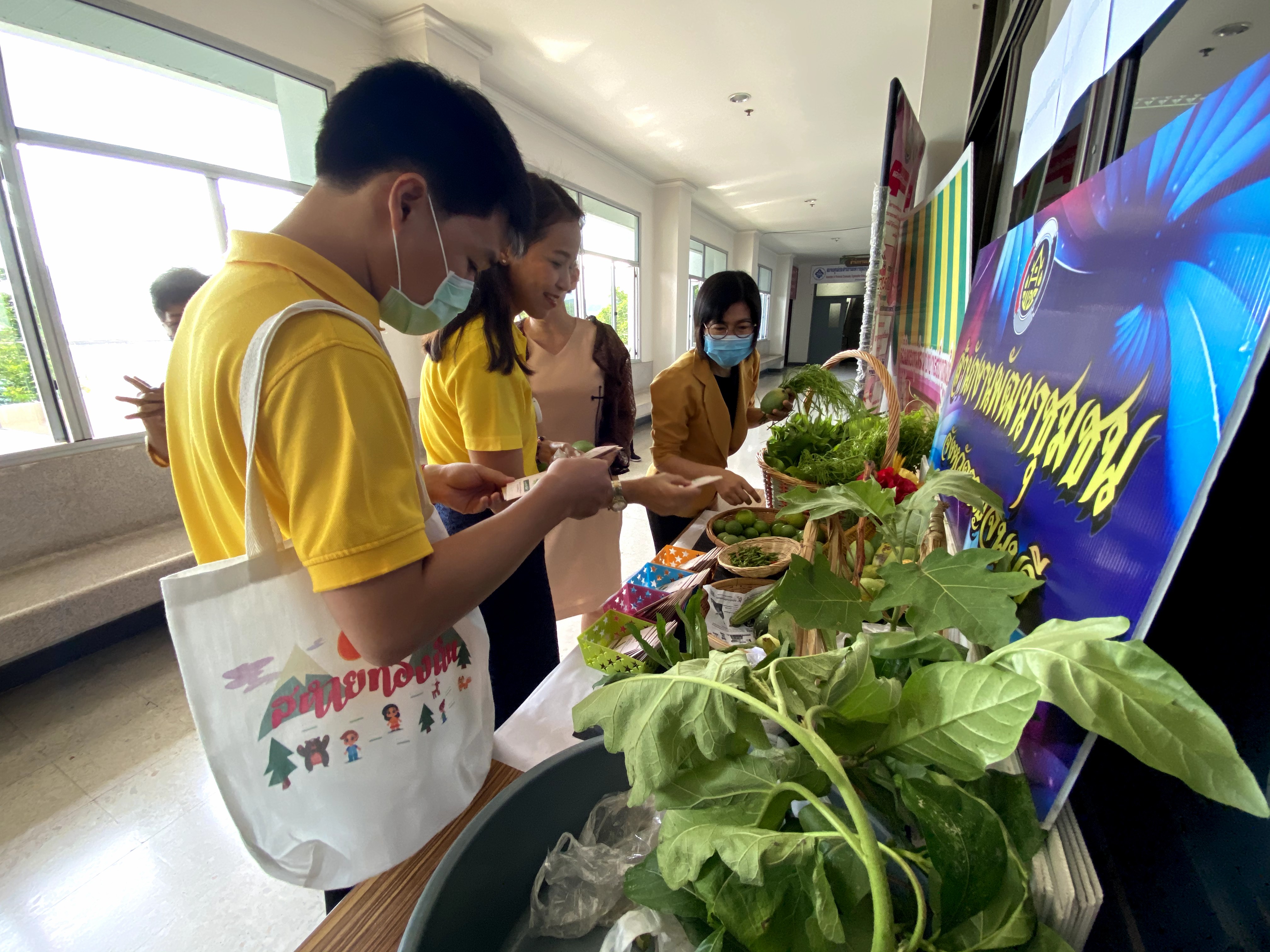 CDD@KAN>>>พัฒนาชุมชนกาญจนบุรี Kick off กิจกรรมตลาดนัดปันผัก รักกาญจน์