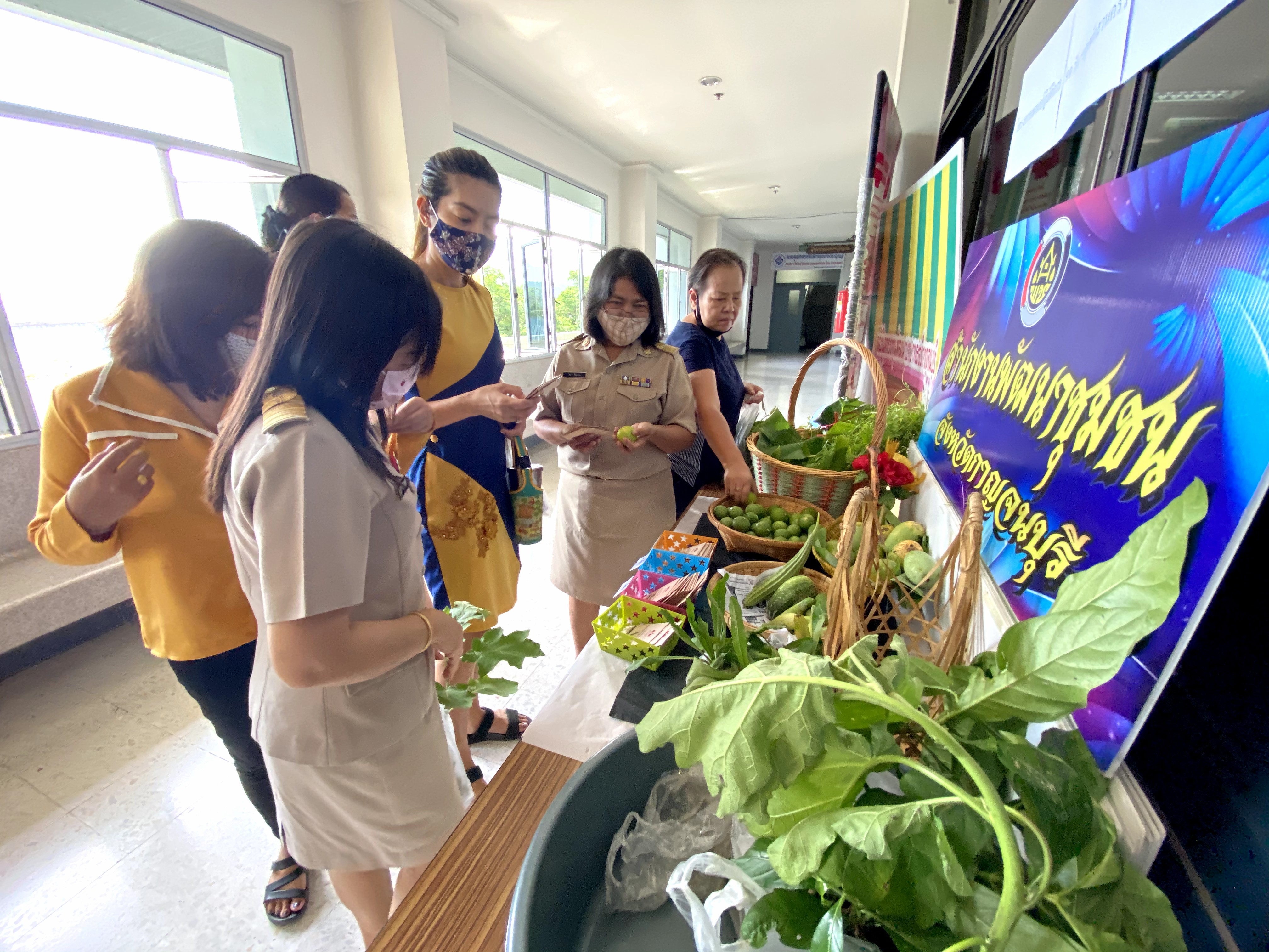 CDD@KAN>>>พัฒนาชุมชนกาญจนบุรี Kick off กิจกรรมตลาดนัดปันผัก รักกาญจน์