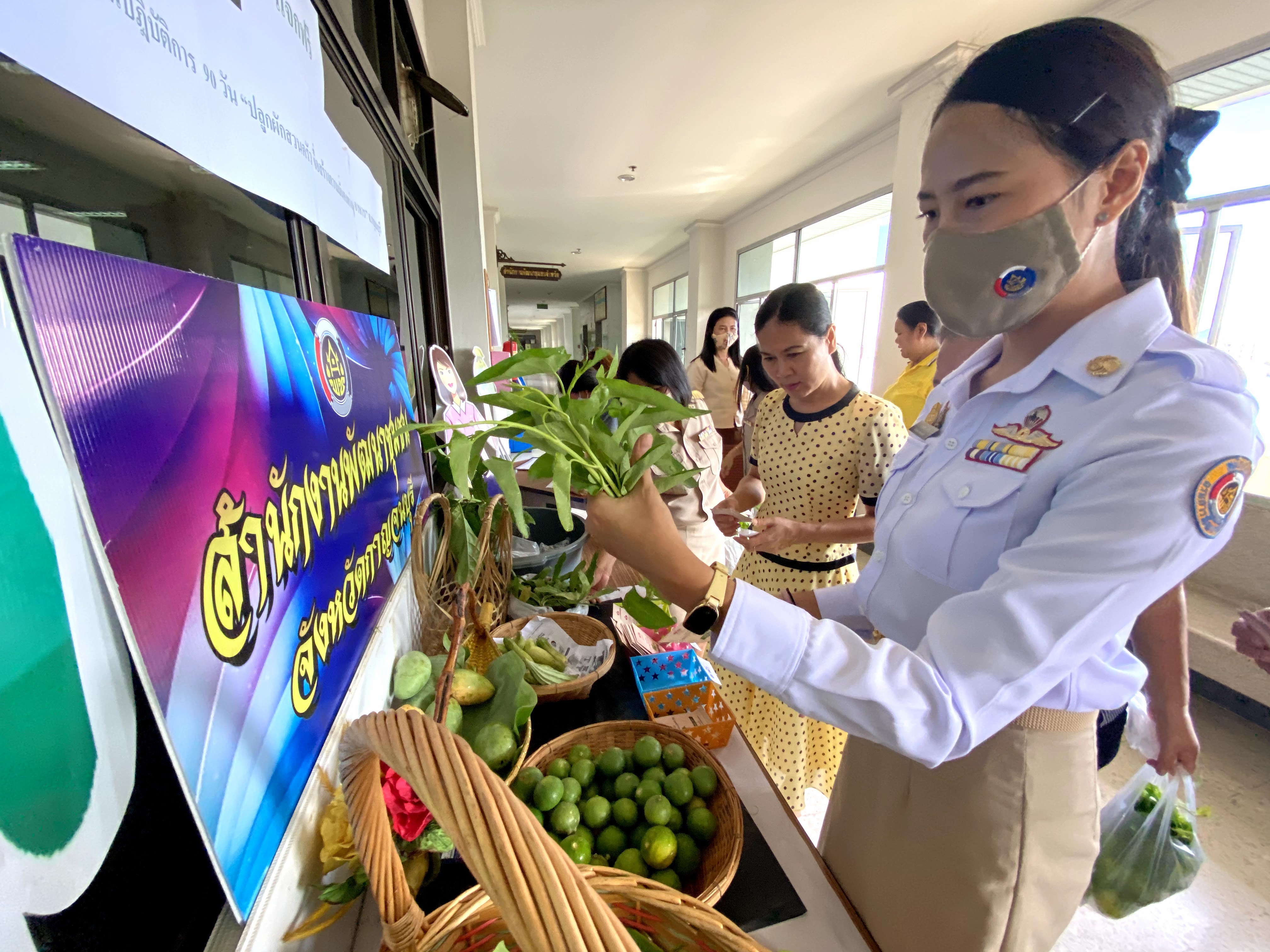 CDD@KAN>>>พัฒนาชุมชนกาญจนบุรี Kick off กิจกรรมตลาดนัดปันผัก รักกาญจน์