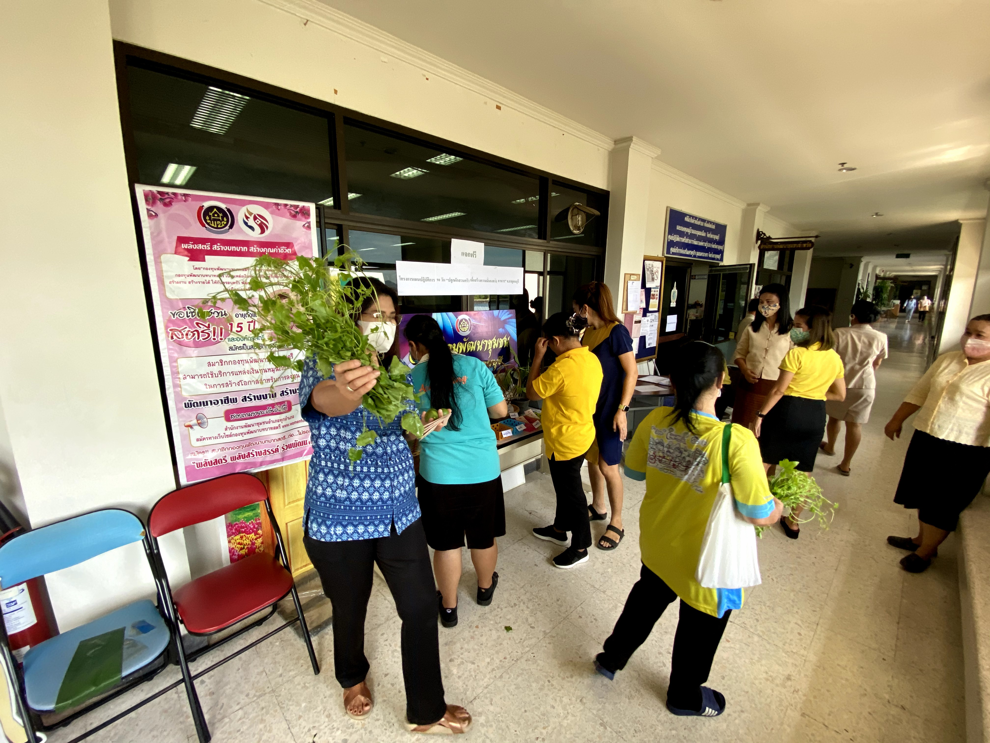 CDD@KAN>>>พัฒนาชุมชนกาญจนบุรี Kick off กิจกรรมตลาดนัดปันผัก รักกาญจน์