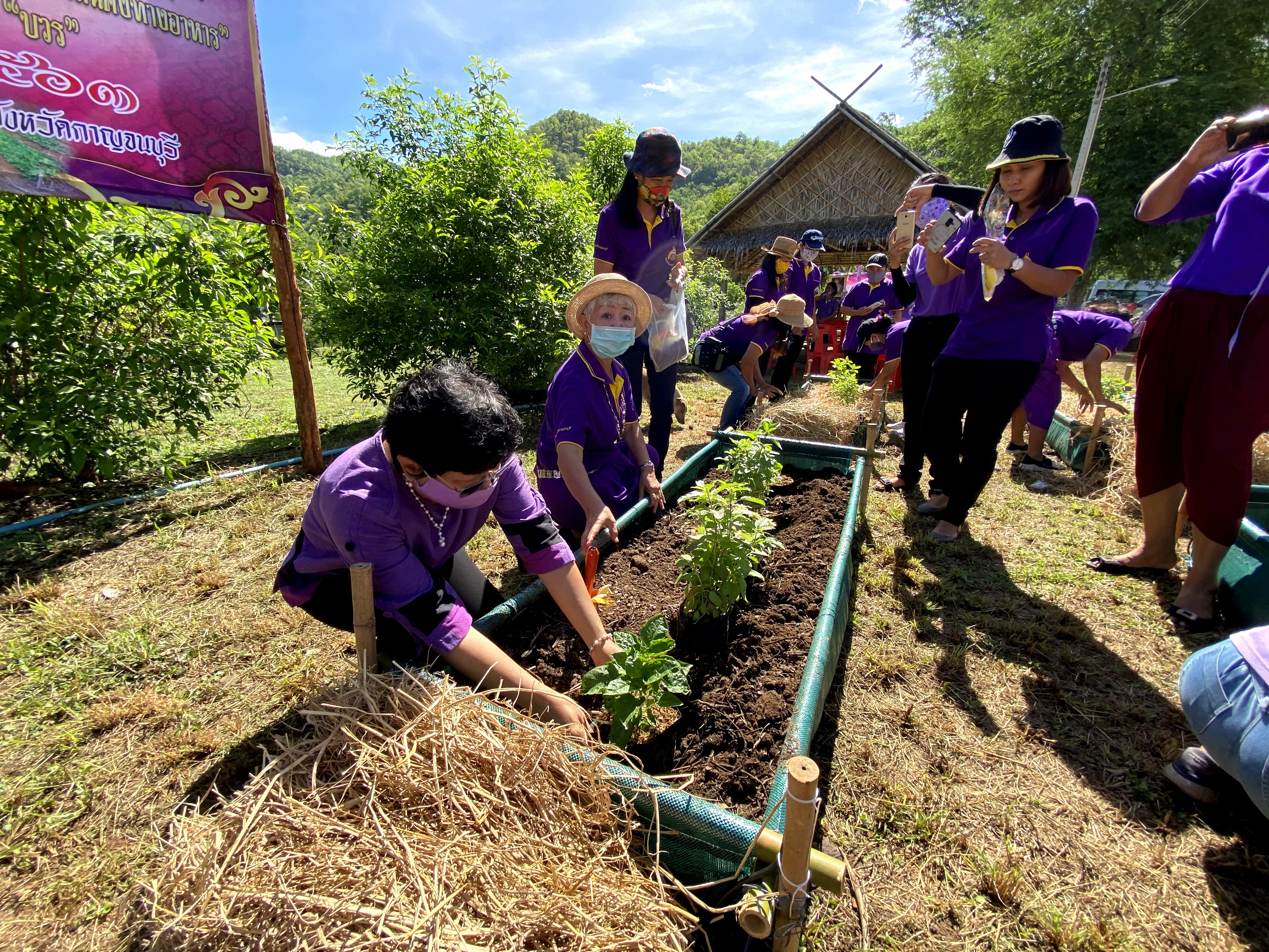 CDD@KAN>>>สตรีอาสาพัฒนาอำเภอเมือง ร่วมปลูกป่าเฉลิมพระเกียรติและผักสวนครัวตามหลักบวร