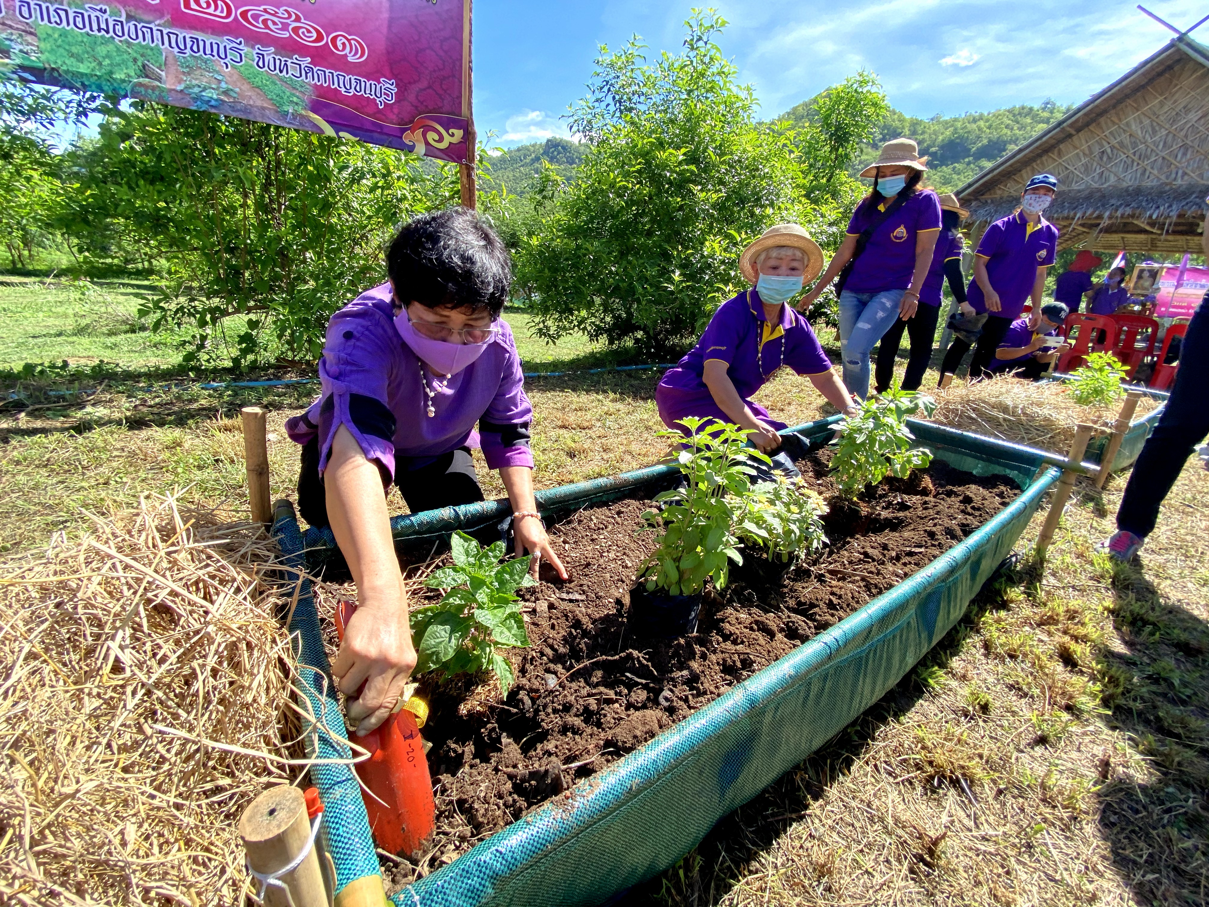 CDD@KAN>>>สตรีอาสาพัฒนาอำเภอเมือง ร่วมปลูกป่าเฉลิมพระเกียรติและผักสวนครัวตามหลักบวร