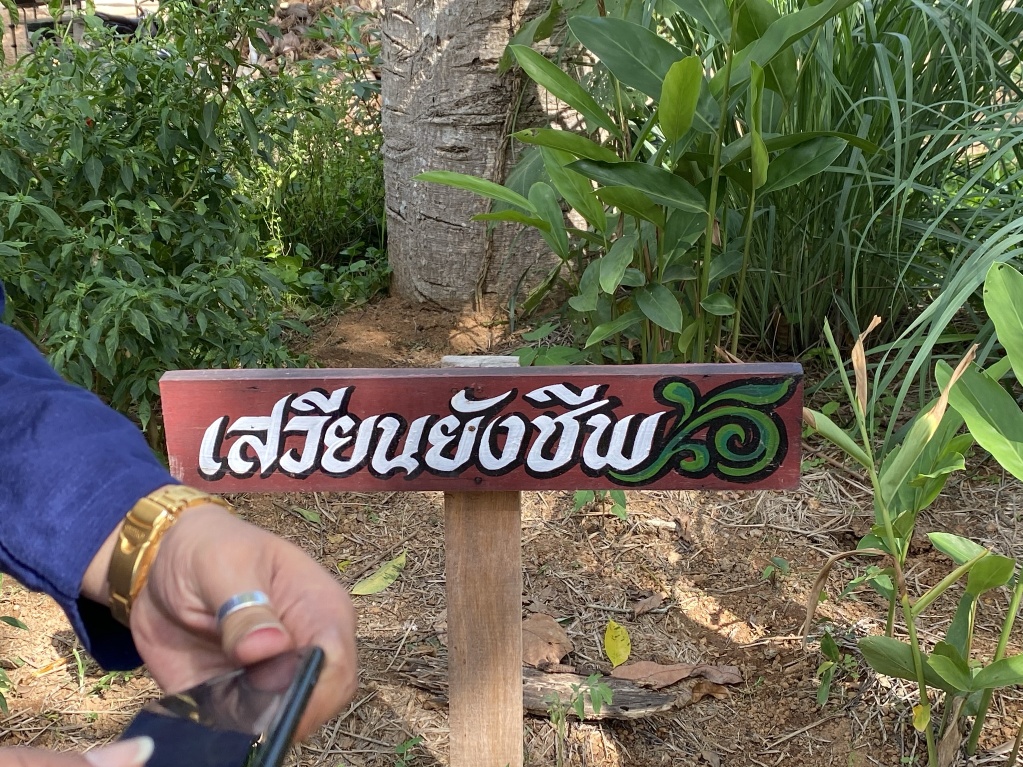 CDD@KAN>>>พช.กาญจน์เข้าพื้นที่บ้านไล่โว่-สาละวะ ติดตามงานโครงการพัฒนาชุมชนในเขตรักษาพันธุ์สัตว์ป่าทุ่งใหญ่นเรศวรด้านตะวันตก และพื้นที่โคกหนองนาโมเดล