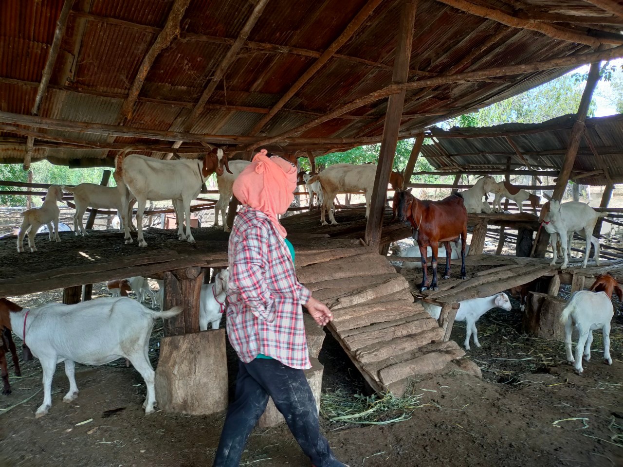 กองทุนสตรีกาญจนบุรี ลงพื้นที่ติดตามการดำเนินงาน อำเภอพนมทวน