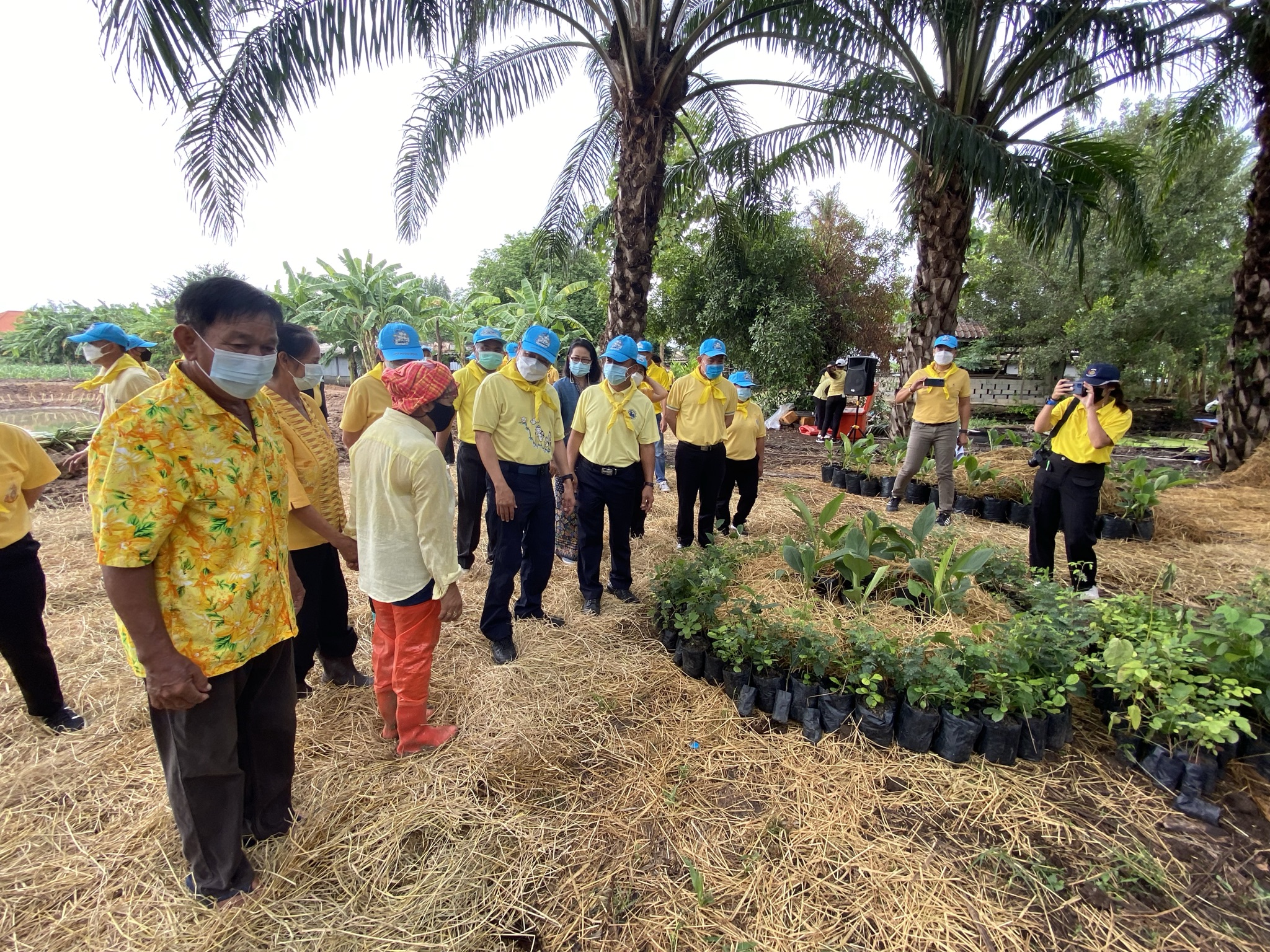 พัฒนาชุมชนกาญจน์ … นำรองผู้ว่าฯ พร้อมคณะติดตาม ลงพื้นที่แปลง HLM อำเภอพนมทวน ร่วมกิจกรรมเอามื้อสามัคคี น้อมนำหลักปรัชญาของเศรษฐกิจพอเพียงและทฤษฎีใหม่สู่วิถีเกษตรตามรอยพ่อในพื้นที่ต้นแบบฯ เพื่อเฉลิมพระเกียรติ เนื่องในโอกาสวันเฉลิมพระชนมพรรษา พระบาทสมเด็จพระวชิรเกล้าเจ้าอยู่หัว 69 พรรษา 28 กรกฎาคม 2564″