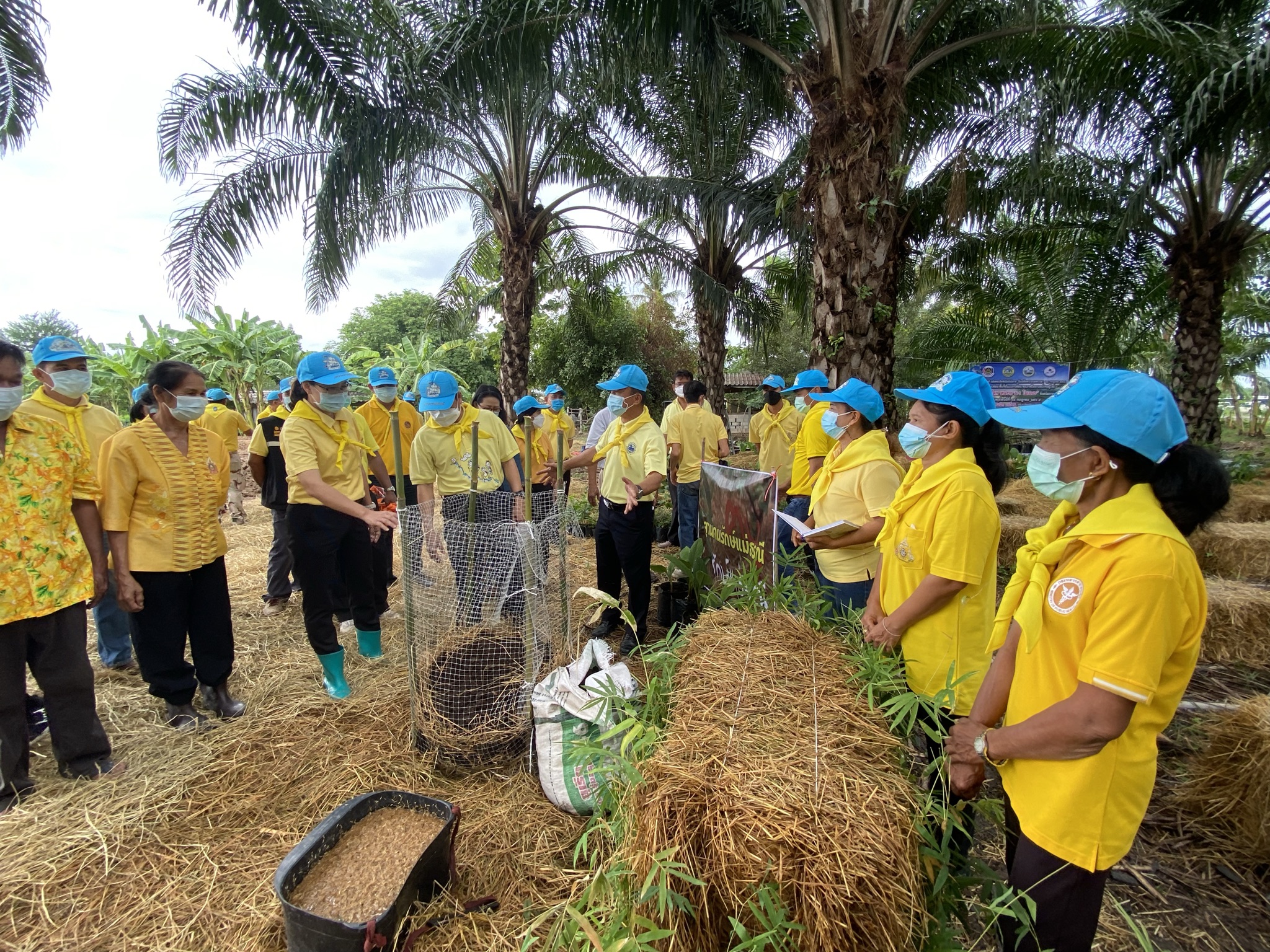 พัฒนาชุมชนกาญจน์ … นำรองผู้ว่าฯ พร้อมคณะติดตาม ลงพื้นที่แปลง HLM อำเภอพนมทวน ร่วมกิจกรรมเอามื้อสามัคคี น้อมนำหลักปรัชญาของเศรษฐกิจพอเพียงและทฤษฎีใหม่สู่วิถีเกษตรตามรอยพ่อในพื้นที่ต้นแบบฯ เพื่อเฉลิมพระเกียรติ เนื่องในโอกาสวันเฉลิมพระชนมพรรษา พระบาทสมเด็จพระวชิรเกล้าเจ้าอยู่หัว 69 พรรษา 28 กรกฎาคม 2564″