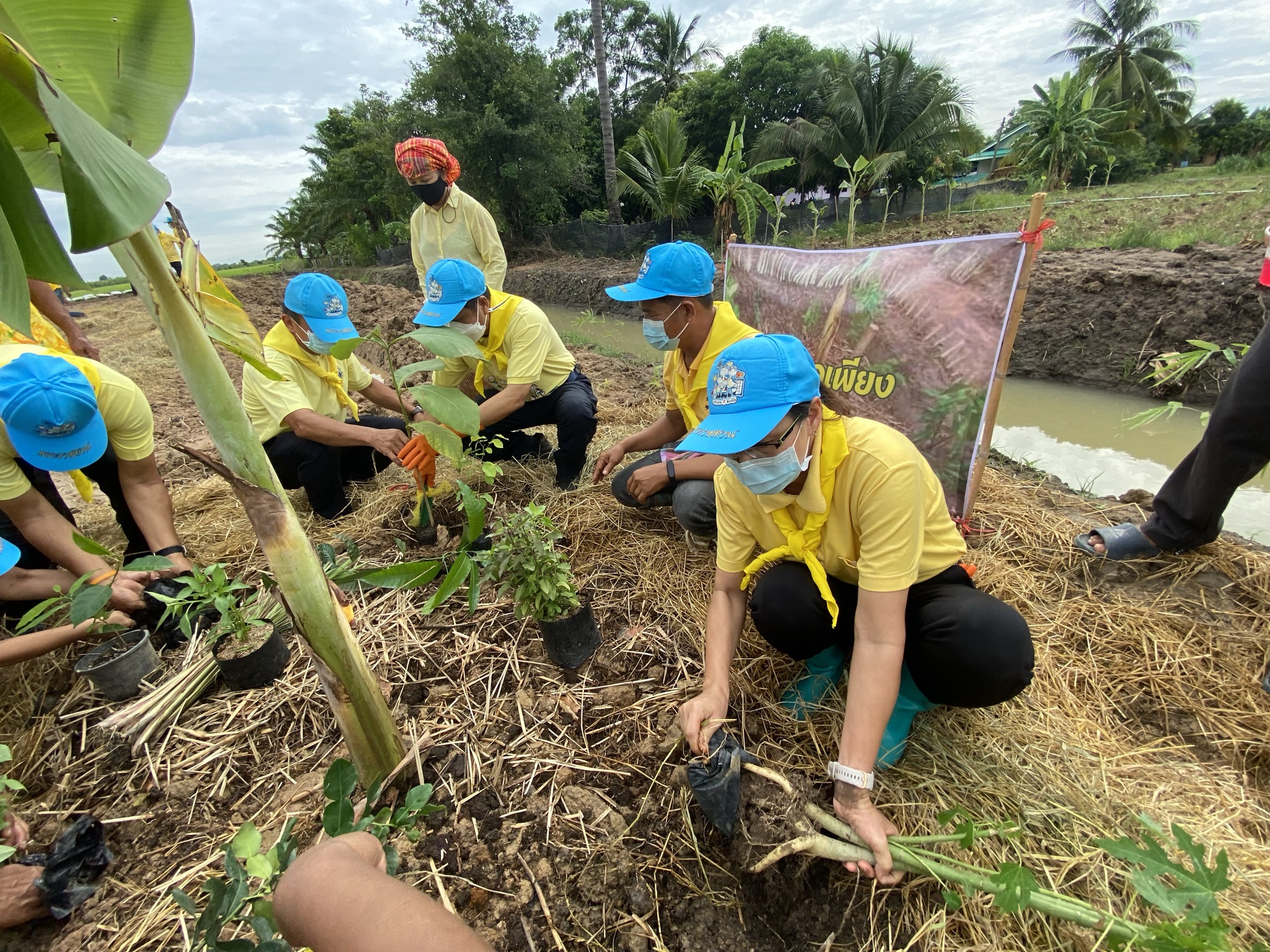 พัฒนาชุมชนกาญจน์ … นำรองผู้ว่าฯ พร้อมคณะติดตาม ลงพื้นที่แปลง HLM อำเภอพนมทวน ร่วมกิจกรรมเอามื้อสามัคคี น้อมนำหลักปรัชญาของเศรษฐกิจพอเพียงและทฤษฎีใหม่สู่วิถีเกษตรตามรอยพ่อในพื้นที่ต้นแบบฯ เพื่อเฉลิมพระเกียรติ เนื่องในโอกาสวันเฉลิมพระชนมพรรษา พระบาทสมเด็จพระวชิรเกล้าเจ้าอยู่หัว 69 พรรษา 28 กรกฎาคม 2564″