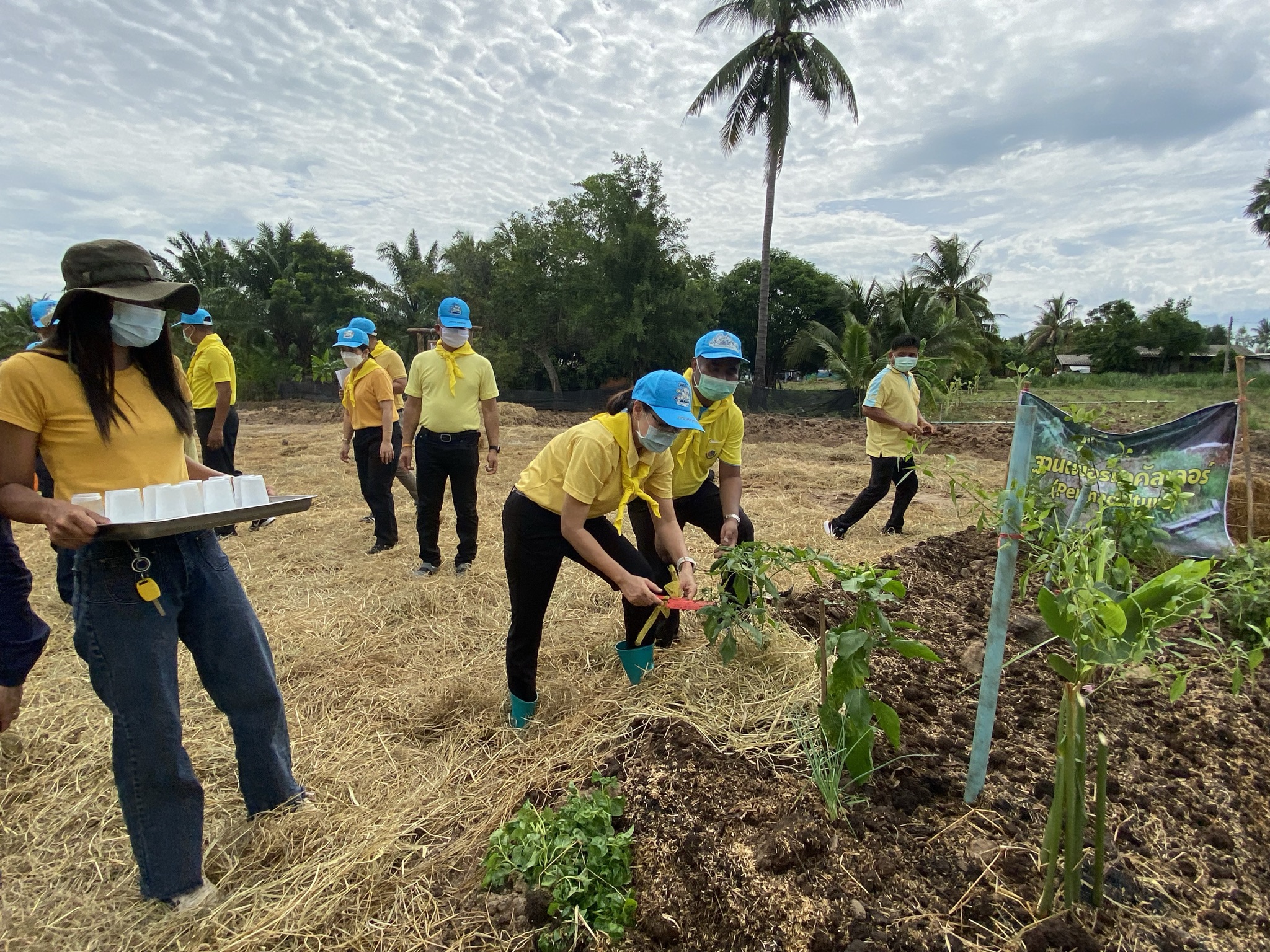 พัฒนาชุมชนกาญจน์ … นำรองผู้ว่าฯ พร้อมคณะติดตาม ลงพื้นที่แปลง HLM อำเภอพนมทวน ร่วมกิจกรรมเอามื้อสามัคคี น้อมนำหลักปรัชญาของเศรษฐกิจพอเพียงและทฤษฎีใหม่สู่วิถีเกษตรตามรอยพ่อในพื้นที่ต้นแบบฯ เพื่อเฉลิมพระเกียรติ เนื่องในโอกาสวันเฉลิมพระชนมพรรษา พระบาทสมเด็จพระวชิรเกล้าเจ้าอยู่หัว 69 พรรษา 28 กรกฎาคม 2564″