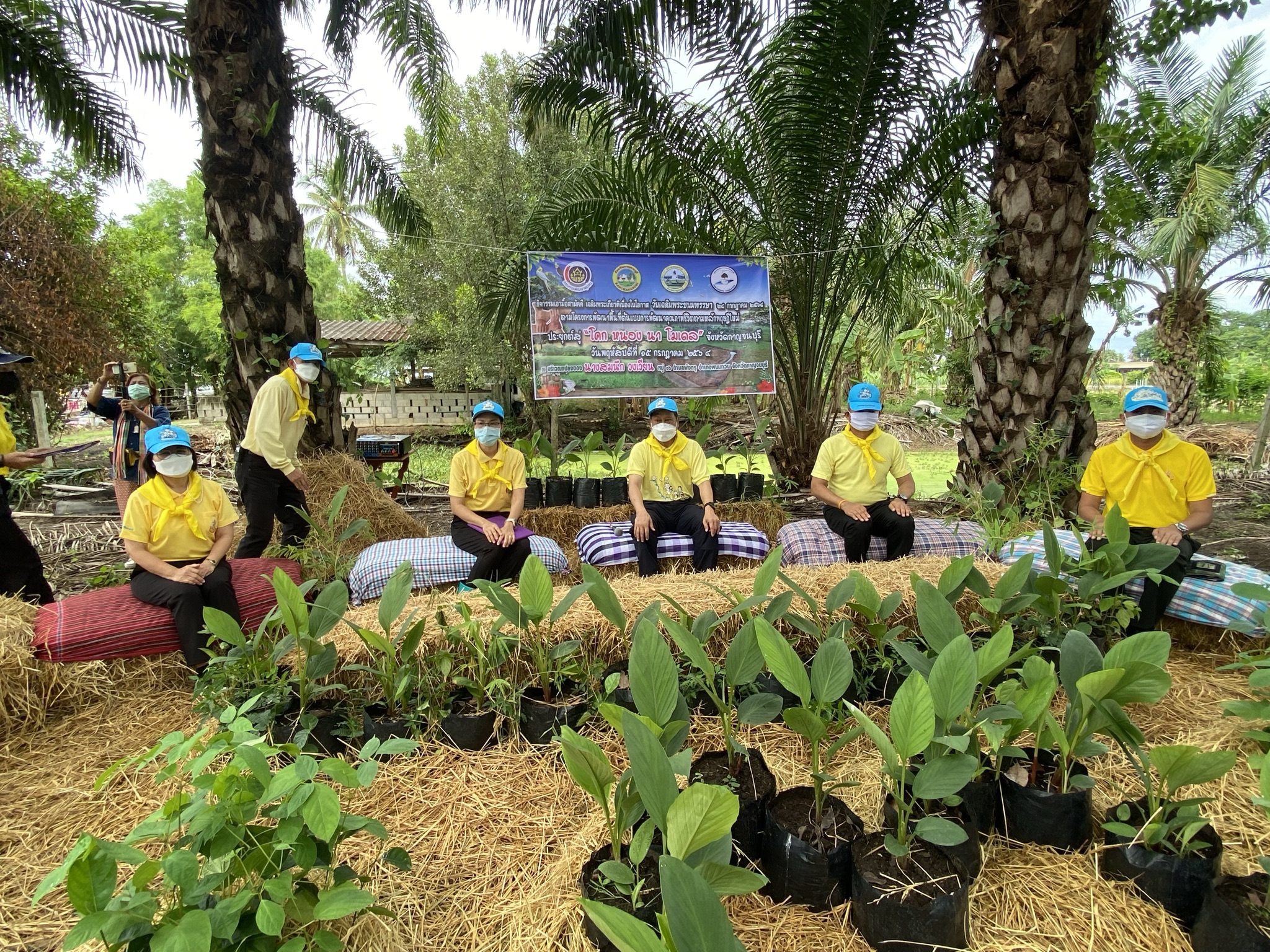 พัฒนาชุมชนกาญจน์ … นำรองผู้ว่าฯ พร้อมคณะติดตาม ลงพื้นที่แปลง HLM อำเภอพนมทวน ร่วมกิจกรรมเอามื้อสามัคคี น้อมนำหลักปรัชญาของเศรษฐกิจพอเพียงและทฤษฎีใหม่สู่วิถีเกษตรตามรอยพ่อในพื้นที่ต้นแบบฯ เพื่อเฉลิมพระเกียรติ เนื่องในโอกาสวันเฉลิมพระชนมพรรษา พระบาทสมเด็จพระวชิรเกล้าเจ้าอยู่หัว 69 พรรษา 28 กรกฎาคม 2564″