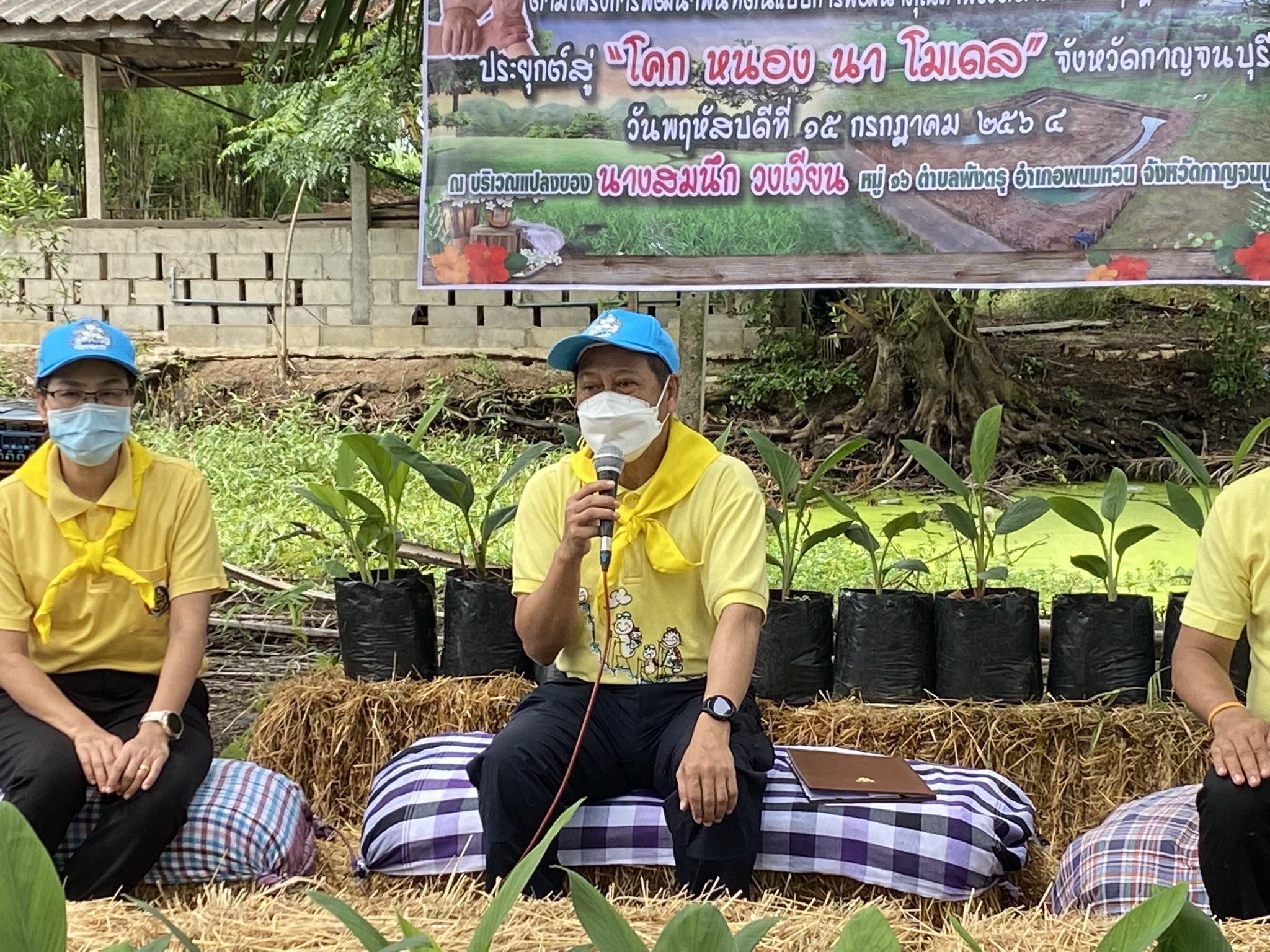 พัฒนาชุมชนกาญจน์ … นำรองผู้ว่าฯ พร้อมคณะติดตาม ลงพื้นที่แปลง HLM อำเภอพนมทวน ร่วมกิจกรรมเอามื้อสามัคคี น้อมนำหลักปรัชญาของเศรษฐกิจพอเพียงและทฤษฎีใหม่สู่วิถีเกษตรตามรอยพ่อในพื้นที่ต้นแบบฯ เพื่อเฉลิมพระเกียรติ เนื่องในโอกาสวันเฉลิมพระชนมพรรษา พระบาทสมเด็จพระวชิรเกล้าเจ้าอยู่หัว 69 พรรษา 28 กรกฎาคม 2564″