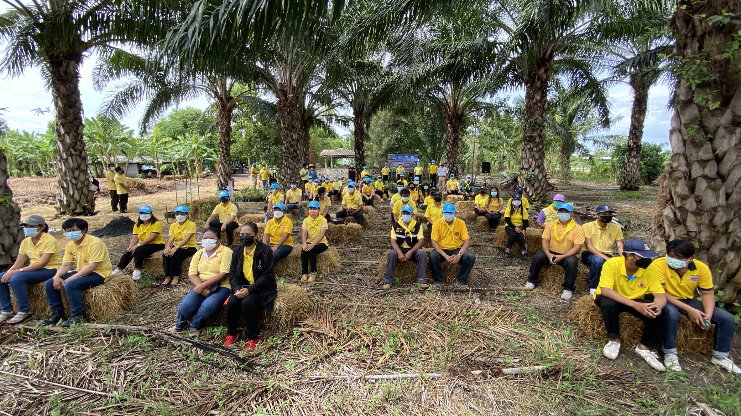 พัฒนาชุมชนกาญจน์ … นำรองผู้ว่าฯ พร้อมคณะติดตาม ลงพื้นที่แปลง HLM อำเภอพนมทวน ร่วมกิจกรรมเอามื้อสามัคคี น้อมนำหลักปรัชญาของเศรษฐกิจพอเพียงและทฤษฎีใหม่สู่วิถีเกษตรตามรอยพ่อในพื้นที่ต้นแบบฯ เพื่อเฉลิมพระเกียรติ เนื่องในโอกาสวันเฉลิมพระชนมพรรษา พระบาทสมเด็จพระวชิรเกล้าเจ้าอยู่หัว 69 พรรษา 28 กรกฎาคม 2564″