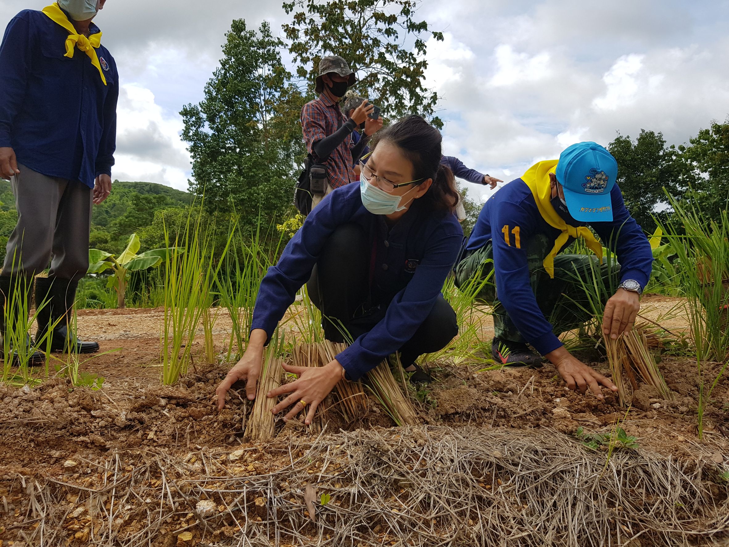 พิธีส่งมอบแปลงและกิจกรรมเอามื้อสามัคคีเพื่อเฉลิมพระเกียรติ เนื่องในโอกาสวันเฉลิมพระชนมพรรษาฯ 28 กรกฎาคม 2564 ณ แปลงพื้นที่เรียนรู้ชุมชนต้นแบบการพัฒนาคุณภาพชีวิต CLM ตำบลหนองลู อำเภอสังขละบุรี