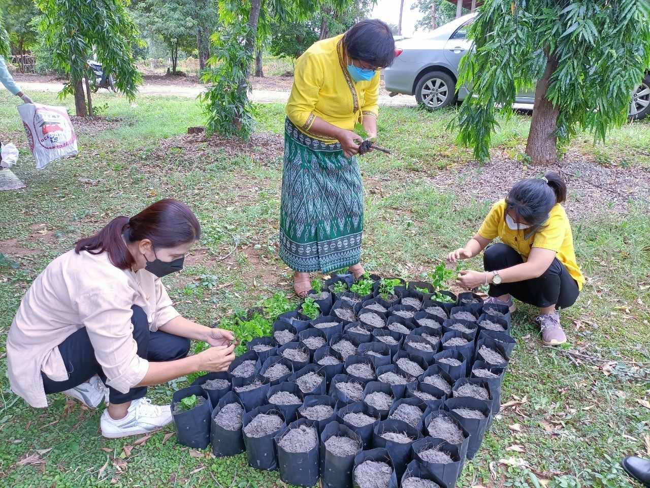 พช.กาญจน์ร่วมกับสตรี จัดกิจกรรมสตรีกาญจน์รวมใจ ทำความดีถวายองค์ราชัน (สร้างความมั่นคงทางอาหาร สู้ภัยโควิด) ครั้งที่ 1