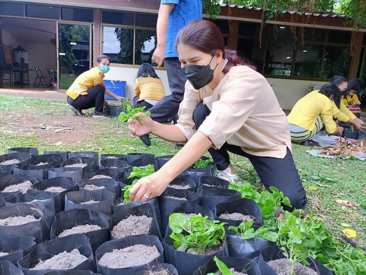 พช.กาญจน์ร่วมกับสตรี จัดกิจกรรมสตรีกาญจน์รวมใจ ทำความดีถวายองค์ราชัน (สร้างความมั่นคงทางอาหาร สู้ภัยโควิด) ครั้งที่ 1