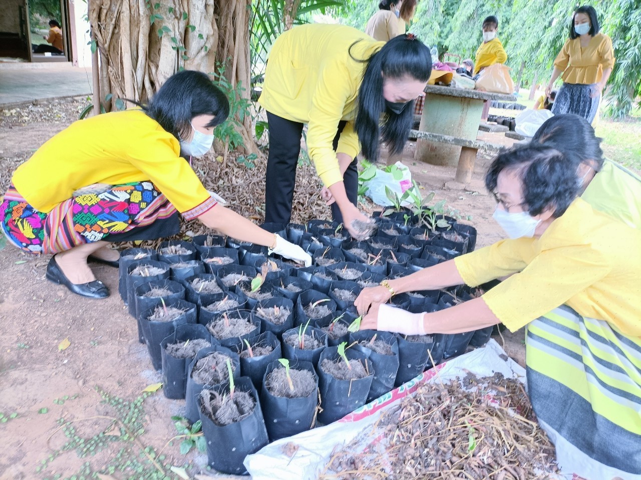 พช.กาญจน์ร่วมกับสตรี จัดกิจกรรมสตรีกาญจน์รวมใจ ทำความดีถวายองค์ราชัน (สร้างความมั่นคงทางอาหาร สู้ภัยโควิด) ครั้งที่ 1