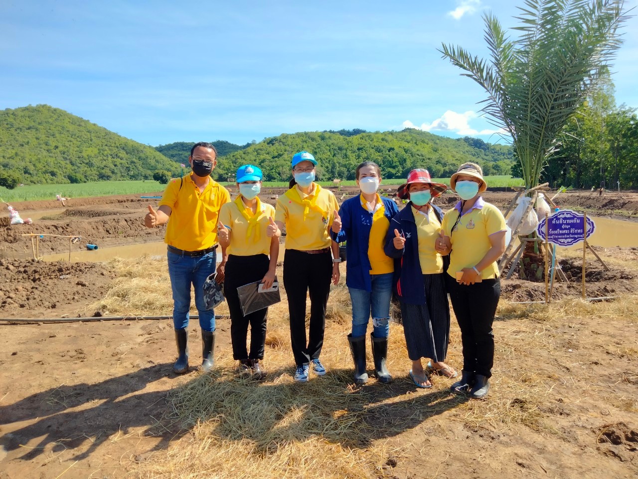 พิธีส่งมอบแปลงและกิจกรรมเอามื้อสามัคคีเพื่อเฉลิมพระเกียรติ เนื่องในโอกาสวันเฉลิมพระชนมพรรษาฯ 28 กรกฎาคม 2564 ณ แปลงพื้นที่เรียนรู้ชุมชนต้นแบบการพัฒนาคุณภาพชีวิต CLM ตำบลวังเย็น อำเภอเมืองกาญจนบุรี