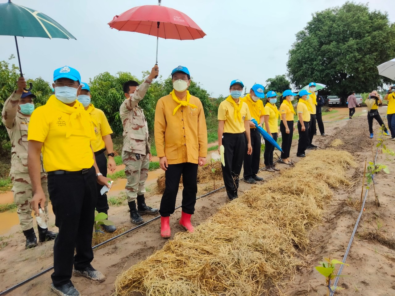 “พัฒนาชุมชนกาญจน์ … นำรองผู้ว่าฯ พร้อมคณะติดตาม ลงพื้นที่แปลง CLM อำเภอบ่อพลอย ร่วมกิจกรรมเอามื้อสามัคคี
