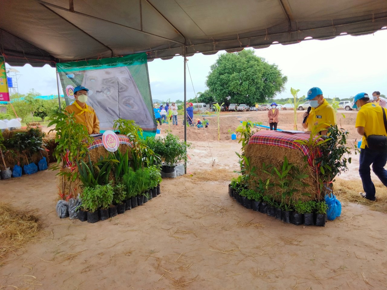 “พัฒนาชุมชนกาญจน์ … นำรองผู้ว่าฯ พร้อมคณะติดตาม ลงพื้นที่แปลง CLM อำเภอบ่อพลอย ร่วมกิจกรรมเอามื้อสามัคคี