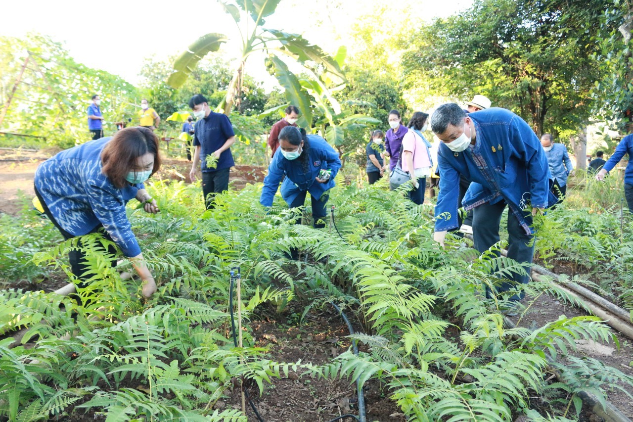 ปลัดกระทรวงมหาดไทย ลงพื้นที่เยี่ยมชมความสำเร็จแปลง CLM ไร่รักถิ่น อำเภอสังขละบุรี เตรียมพัฒนาสู่แลนด์มาร์คแห่งการเรียนรู้ใหม่ของเมืองกาญจน์