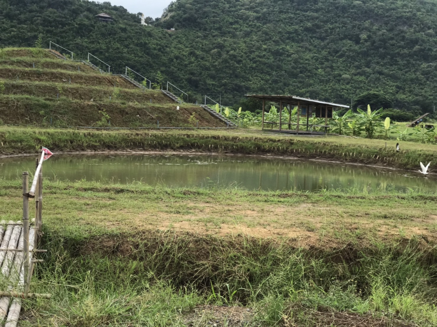 พจ.กาญจน์ ลงพื้นที่ติดตามความก้าวหน้า แปลง โคก หนอง นา (CLM) ของนายอนวัจน์ แม้นทิม