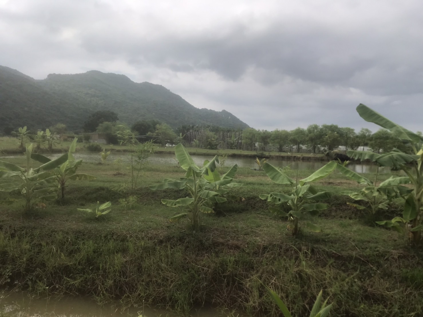พจ.กาญจน์ ลงพื้นที่ติดตามความก้าวหน้า แปลง โคก หนอง นา (CLM) ของนายอนวัจน์ แม้นทิม