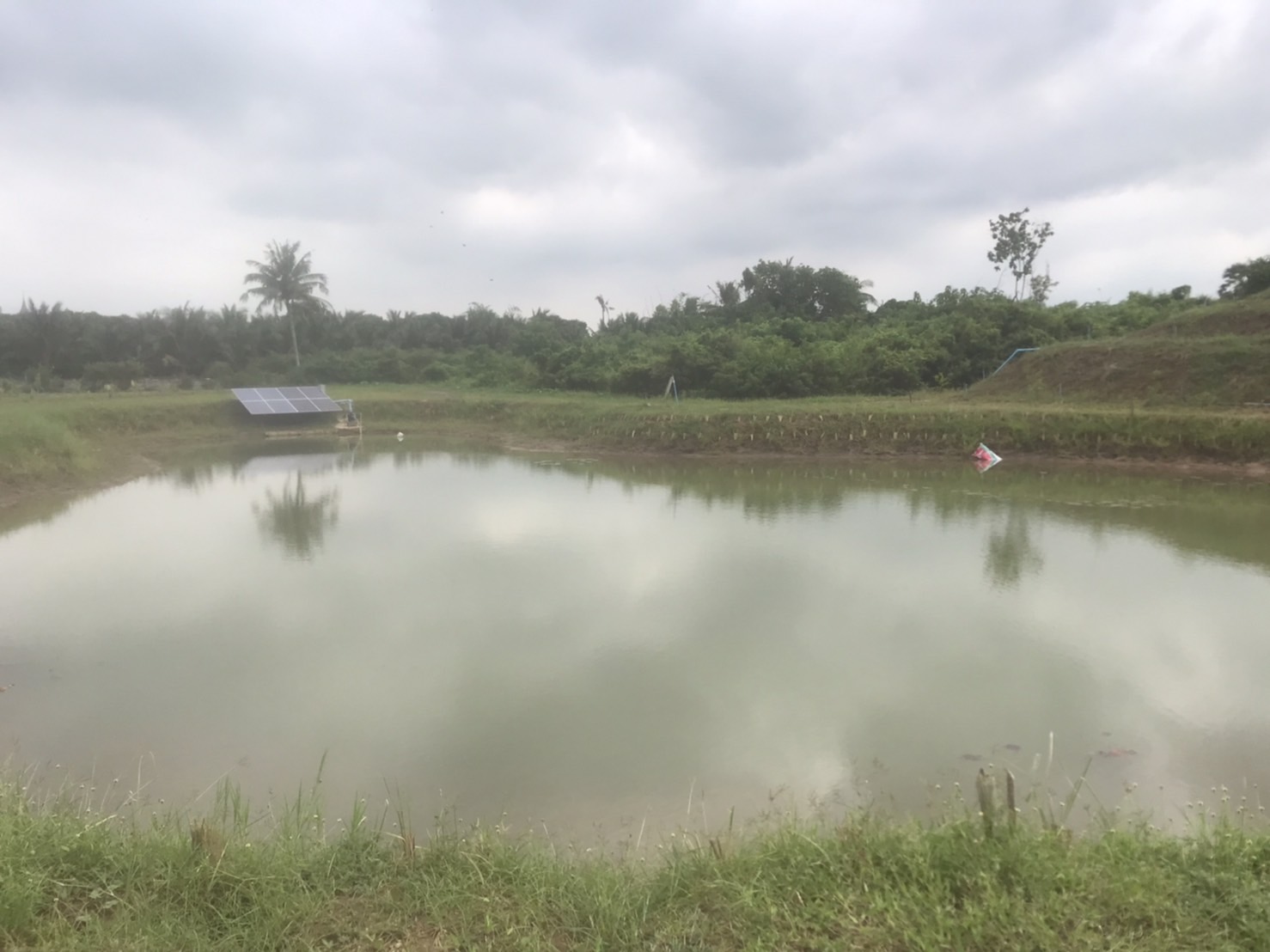 พจ.กาญจน์ ลงพื้นที่ติดตามความก้าวหน้า แปลง โคก หนอง นา (CLM) ของนายอนวัจน์ แม้นทิม