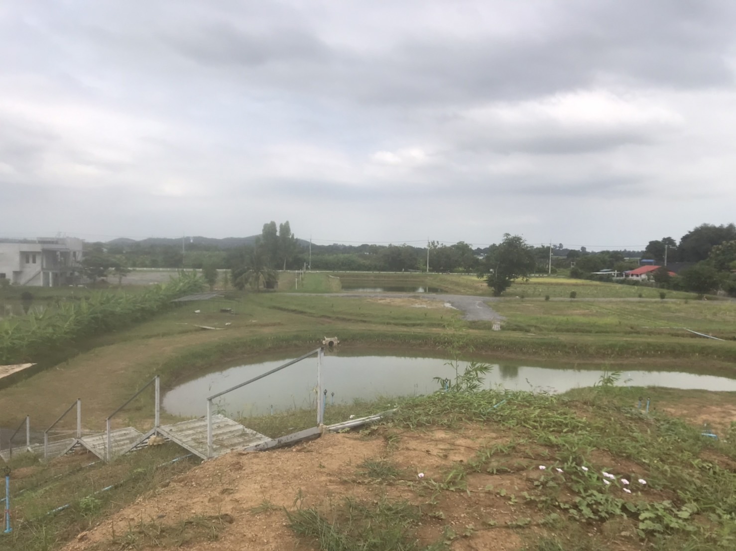 พจ.กาญจน์ ลงพื้นที่ติดตามความก้าวหน้า แปลง โคก หนอง นา (CLM) ของนายอนวัจน์ แม้นทิม