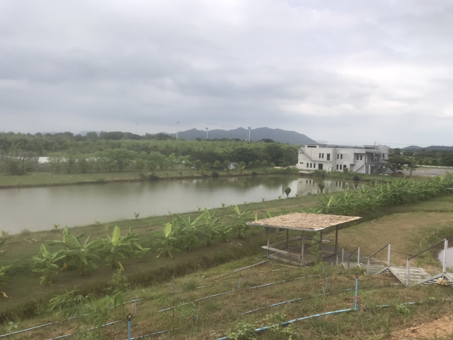 พจ.กาญจน์ ลงพื้นที่ติดตามความก้าวหน้า แปลง โคก หนอง นา (CLM) ของนายอนวัจน์ แม้นทิม