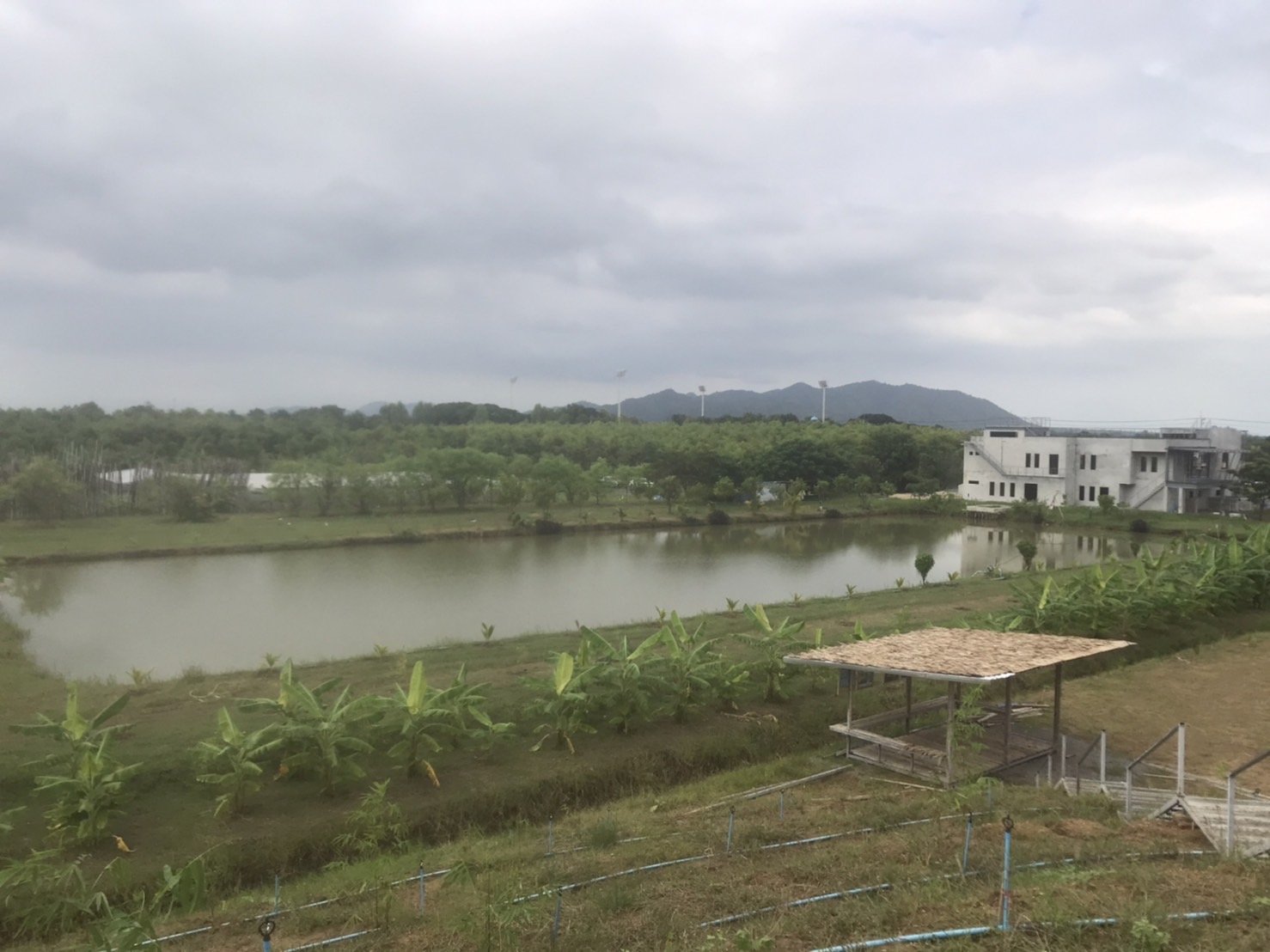 พจ.กาญจน์ ลงพื้นที่ติดตามความก้าวหน้า แปลง โคก หนอง นา (CLM) ของนายอนวัจน์ แม้นทิม