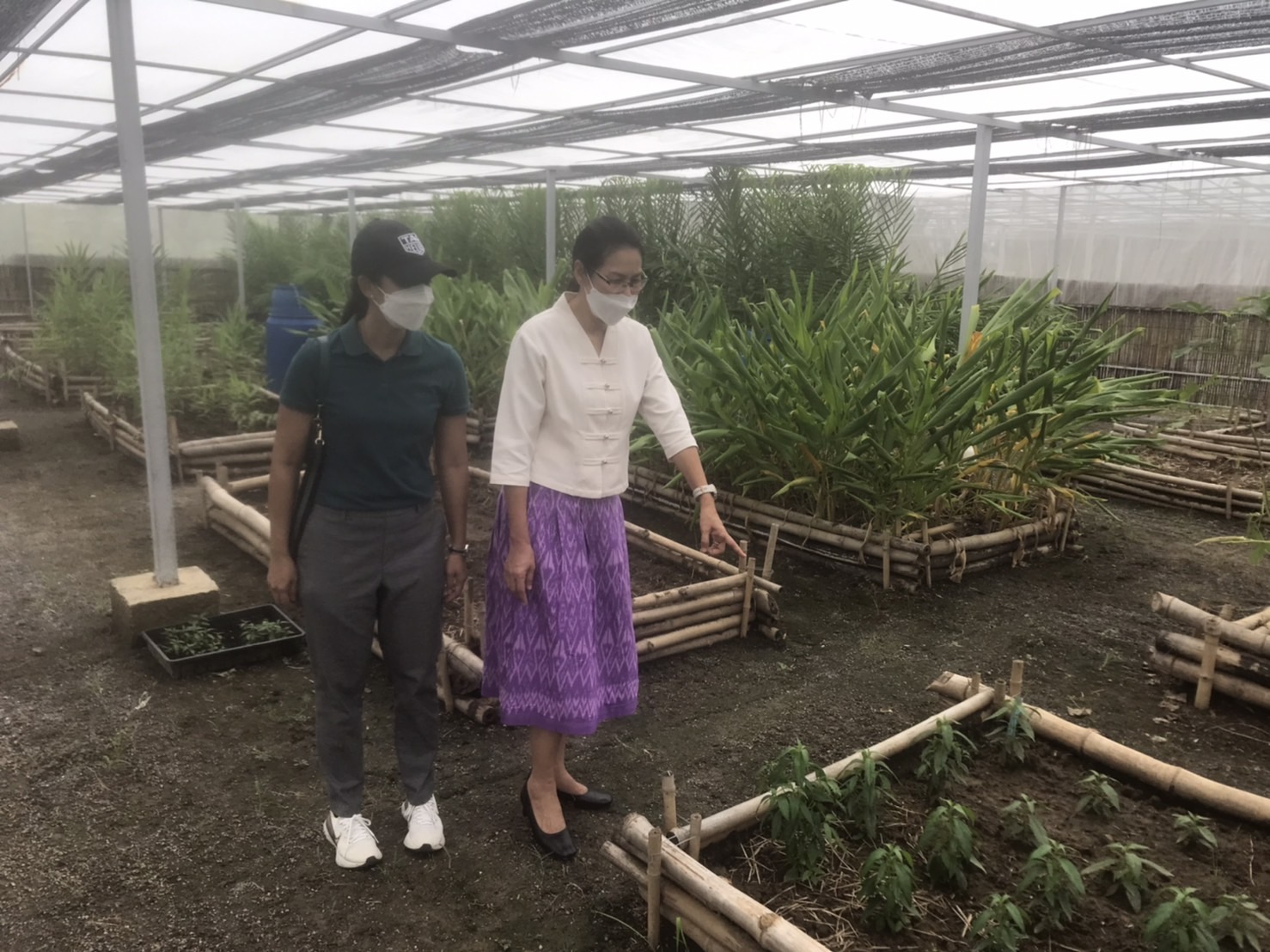 พจ.กาญจน์ ลงพื้นที่ติดตามความก้าวหน้า แปลง โคก หนอง นา (CLM) ของนายอนวัจน์ แม้นทิม