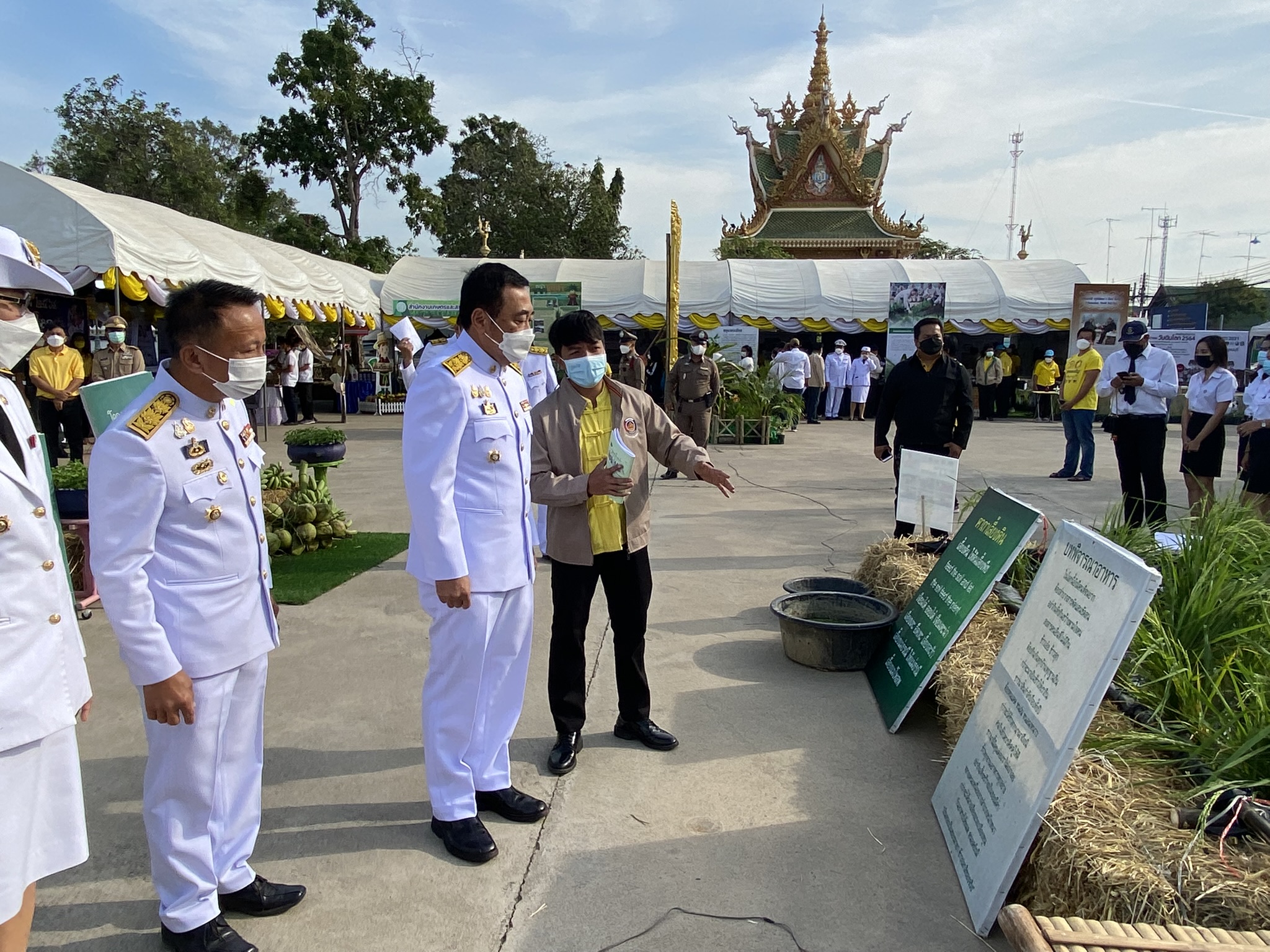 “พช.กาญจน์ ร่วมแสดงผลสำเร็จโคกหนองนาในงานวันดินโลก 64”