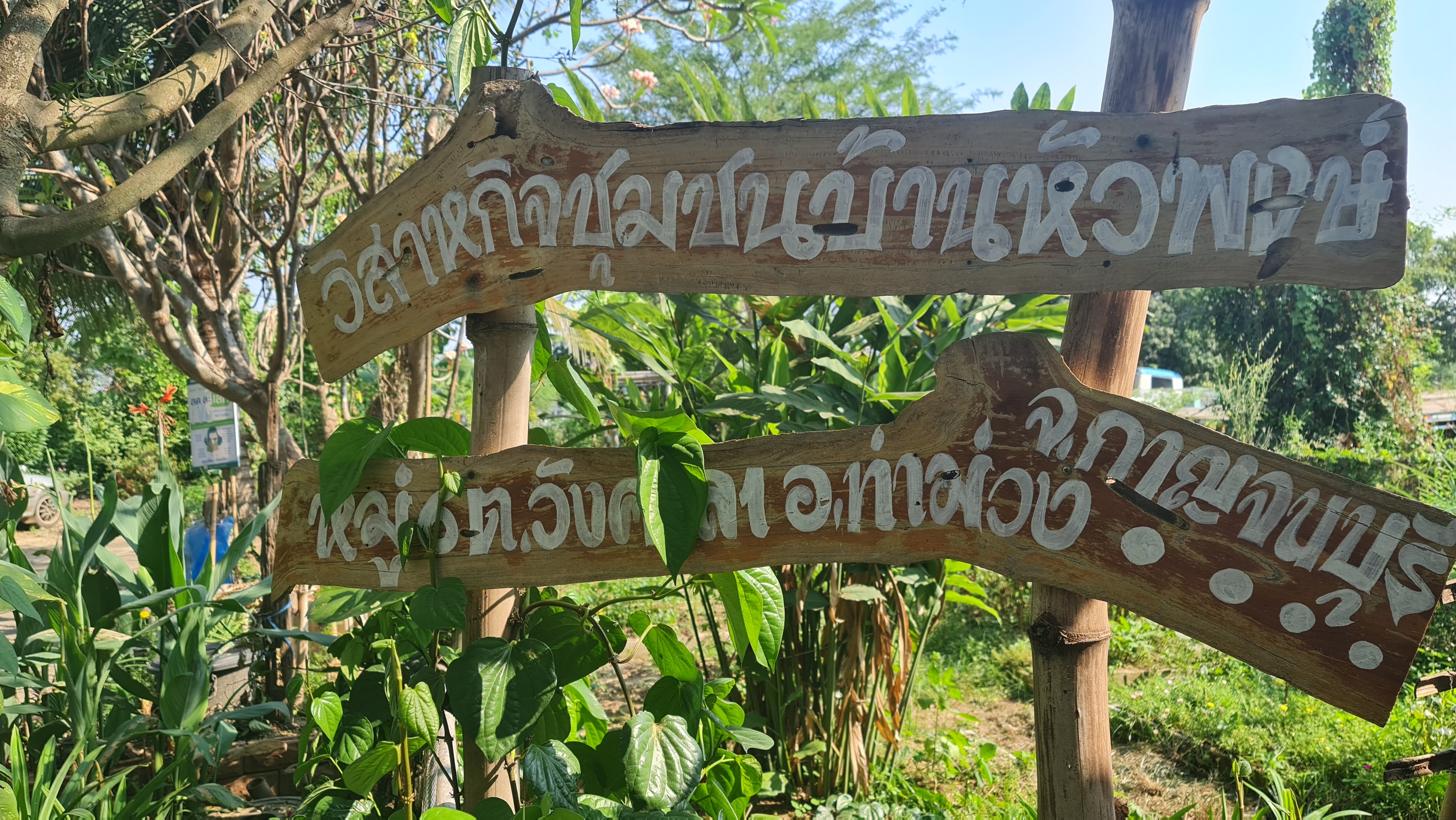 ? CDD KAN News : พช.กาญจน์ จัดกิจกรรมเวทีสร้างเครือข่ายนักจัดการความรู้ชุมชน