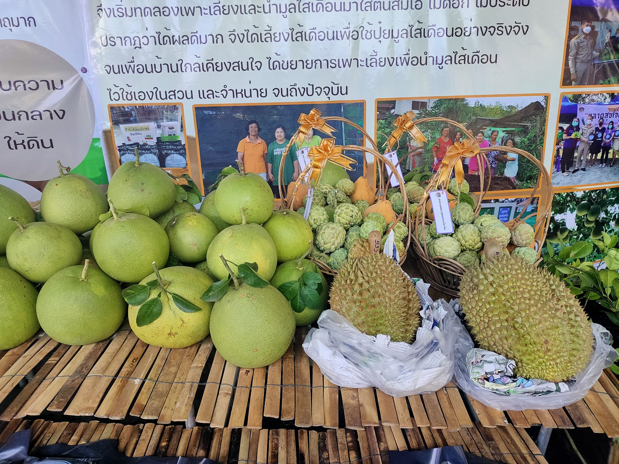 ✨?‍♀️การคัดเลือกคนกองทุนพัฒนาบทบาทสตรี ดีเด่นระดับเขตตรวจราชการ (เขตตรวจราชการที่ 3 ภาคกลางตอนล่าง)?‍?‍?✨
