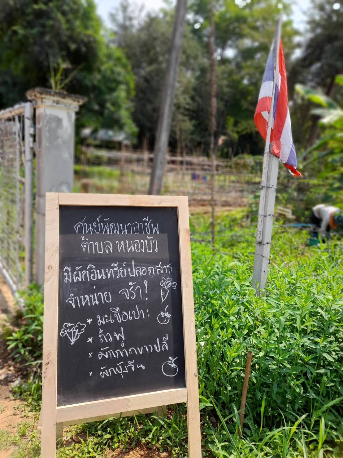 ? CDD KAN News : พช. กาญจน์ ติดตามผลการดำเนินงานการขับเคลื่อนการพัฒนาศูนย์พัฒนาอาชีพหนองบัว
