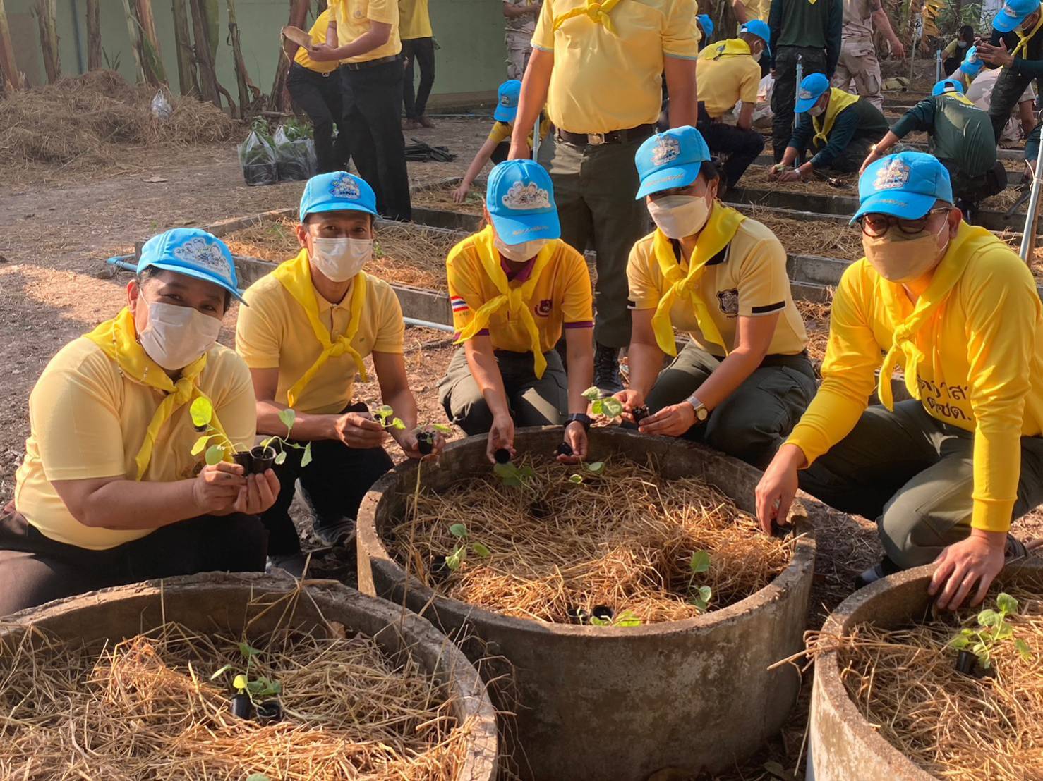 ?  พช.กาญจนบุรี ร่วมจิตอาสาปลูกผักสวนครัวเพื่อสร้างความมั่นคงทางอาหารในกิจกรรมจิตอาสาเนื่องในวันพ่อขุนรามคำแหง