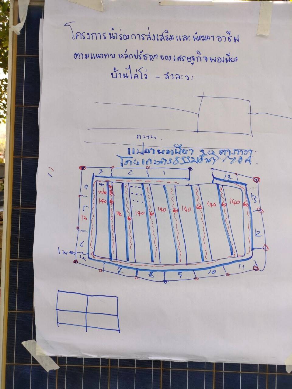 พช.กาญจนบุรี ร่วมกิจกรรมการส่งเสริมและพัฒนาอาชีพตามแนวทางหลักปรัชญาของเศรษฐกิจพอเพียง ณ บ้านไล่โว่ – สาละวะ ภายใต้ความร่วมมือระหว่างกรมการพัฒนาชุมชนกับมูลนิธิ MOA Thai