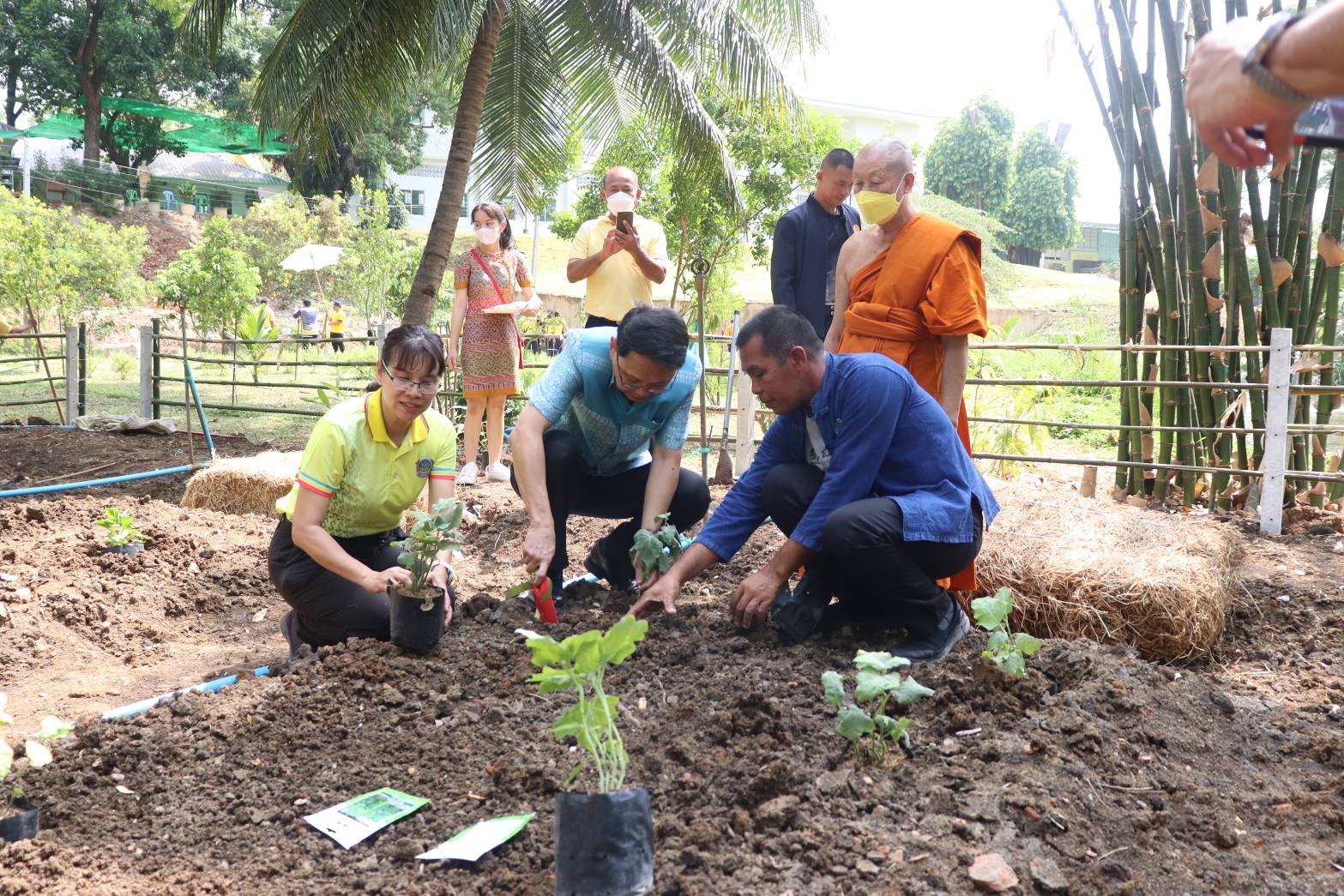 จังหวัดกาญจนบุรี ลุยขับคลื่อนโครงการสานพลัง “บวร” ร่วมสร้างความมั่นคงทางอาหาร และกิจกรรมทางนี้มีผล ผู้คนรักกัน ด้วยวิธีเกษตรธรรมชาติภายใต้ด้วยโมเดล 30 ตารางวา เฉลิมพระเกียรติสมเด็จพระเจ้าพี่นางเธอ เจ้าฟ้ากัลยาณิวัฒนา กรมหลวงนราธิวาสราชนครินทร