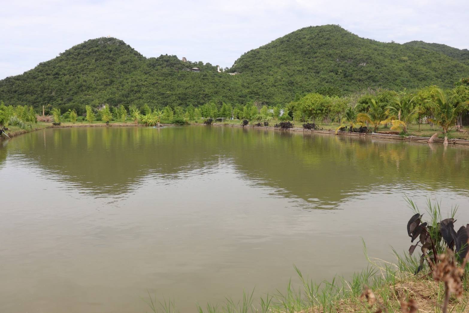 พ่อเมืองกาญจนบุรี เปิดอาคารศูนย์การเรียนรู้ตามแนวทางเกษตรทฤษฎีใหม่ ณ สวนไผ่คุณน้อย ยกระดับแปลง โคก หนอง นา สู่ศูนย์เรียนรู้และการท่องเที่ยวเชิงเกษตรเพื่อชุมชน