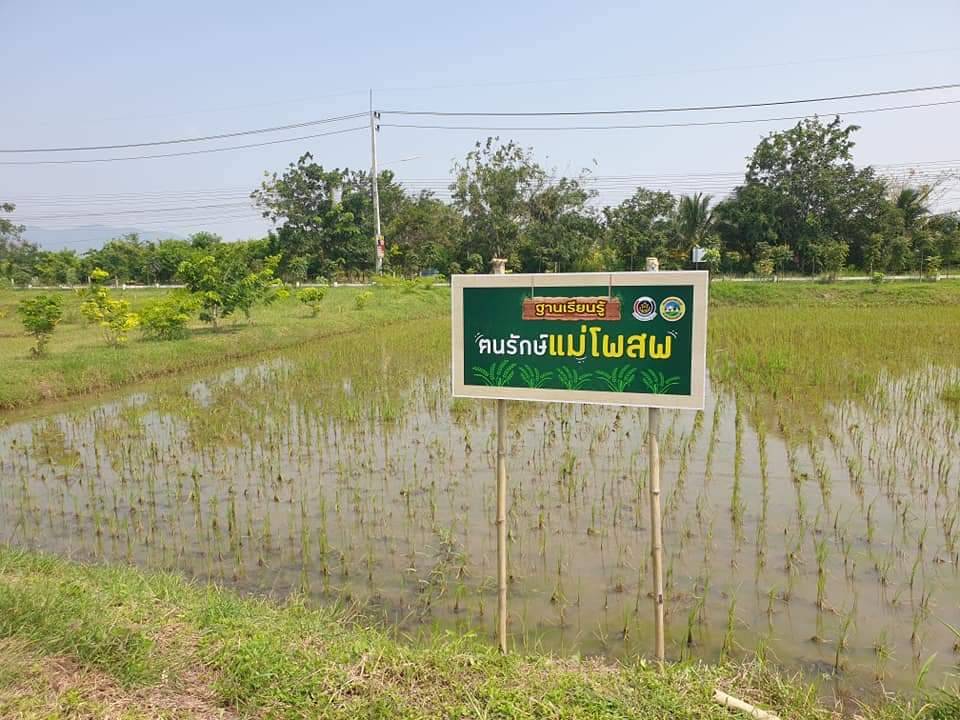 พ่อเมืองกาญจนบุรี เปิดอาคารศูนย์การเรียนรู้ตามแนวทางเกษตรทฤษฎีใหม่ ณ สวนไผ่คุณน้อย ยกระดับแปลง โคก หนอง นา สู่ศูนย์เรียนรู้และการท่องเที่ยวเชิงเกษตรเพื่อชุมชน