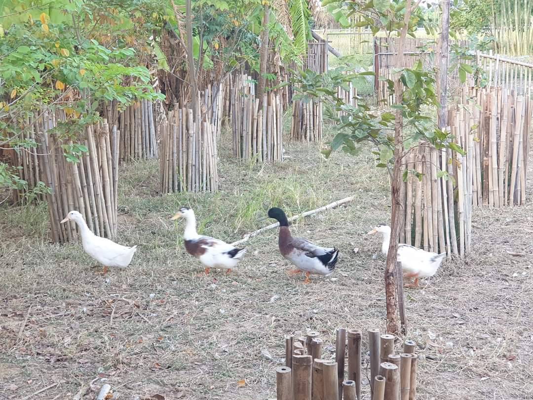 พ่อเมืองกาญจนบุรี เปิดอาคารศูนย์การเรียนรู้ตามแนวทางเกษตรทฤษฎีใหม่ ณ สวนไผ่คุณน้อย ยกระดับแปลง โคก หนอง นา สู่ศูนย์เรียนรู้และการท่องเที่ยวเชิงเกษตรเพื่อชุมชน
