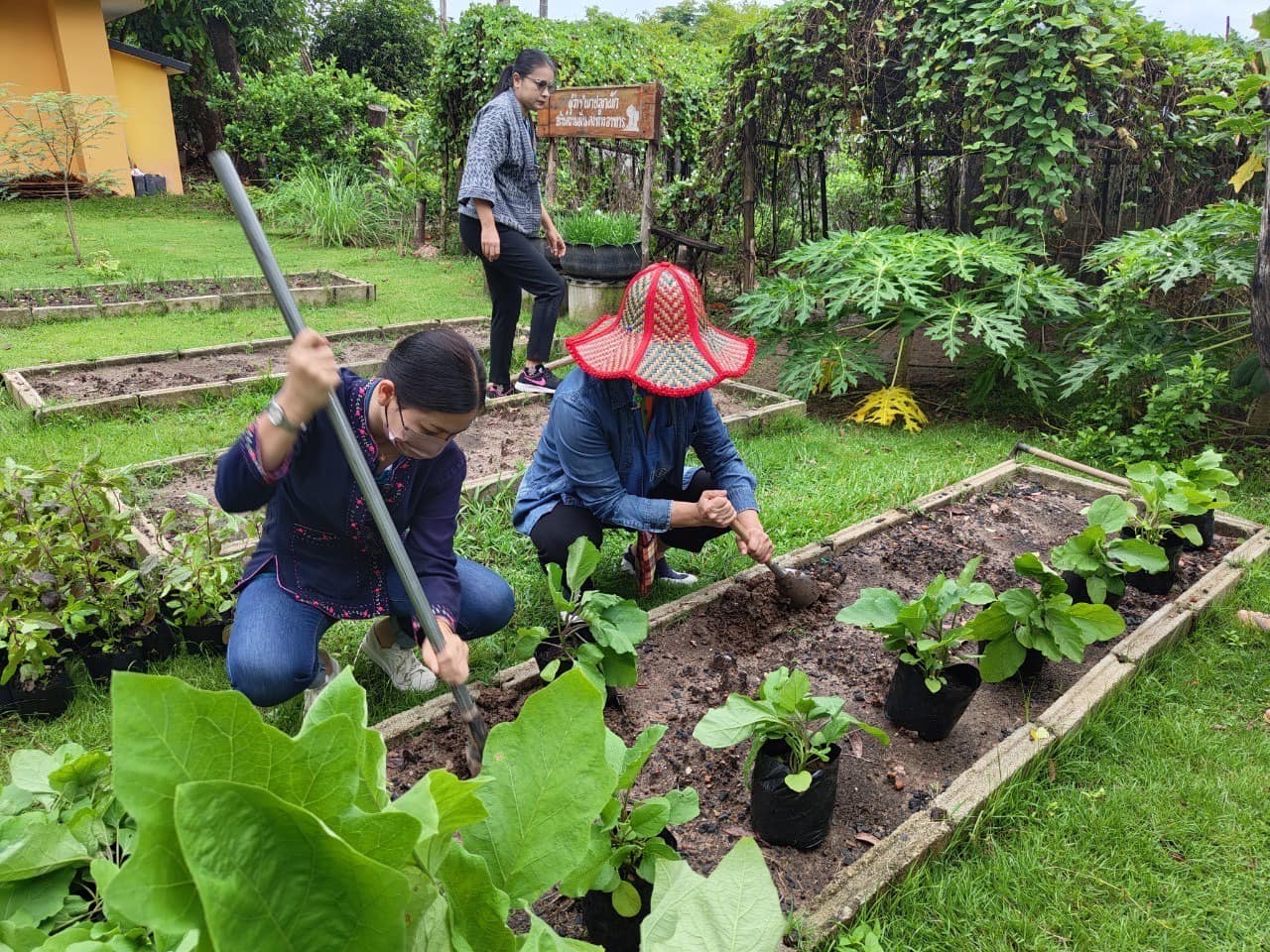 อาหารคือจุดเริ่มต้นของชีวิต 🍎🥗💦 ปลูกผักกินเอง สร้างความมั่นคง มั่งคั่ง อย่างยั่งยืน